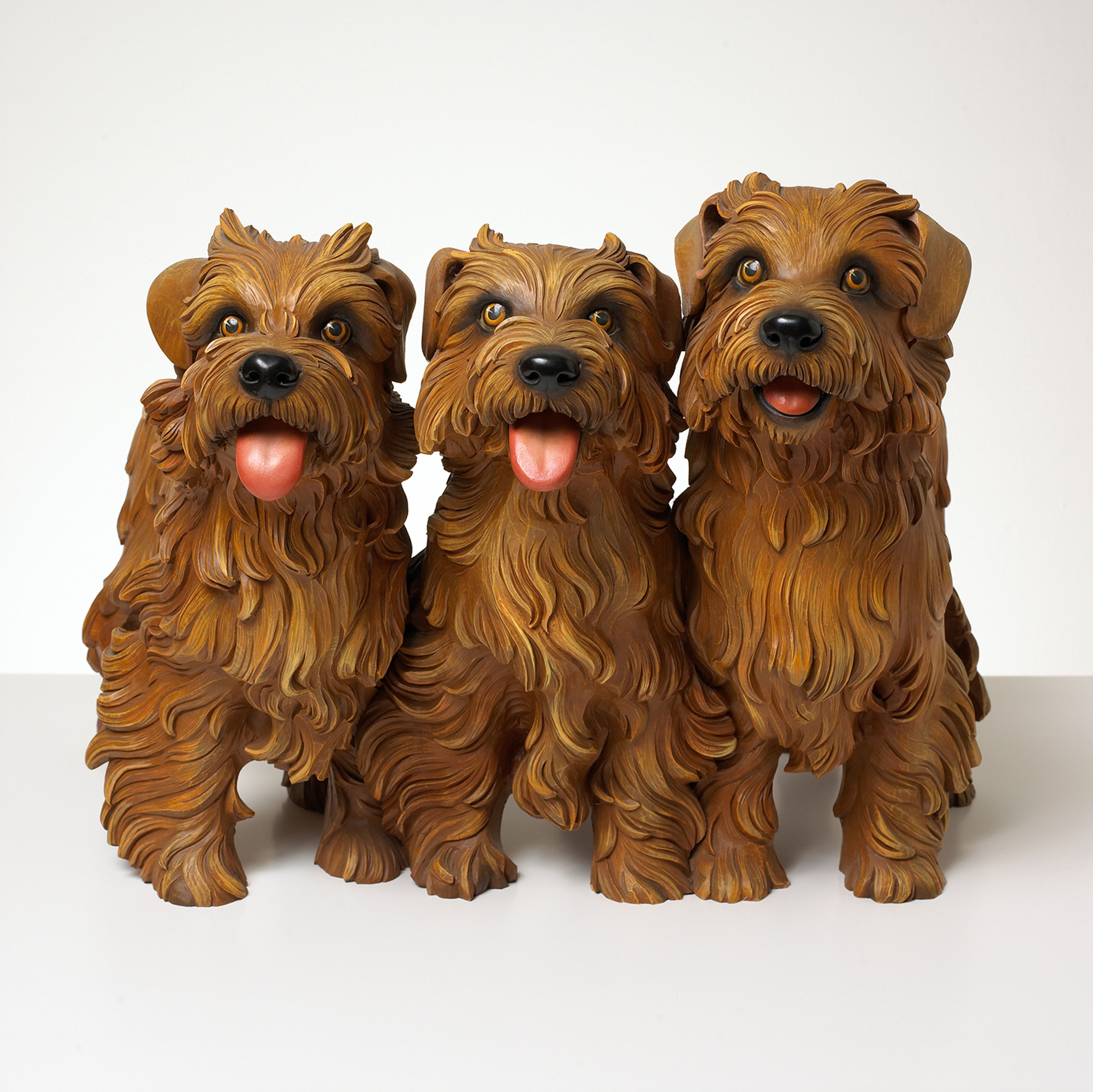 Three Puppies