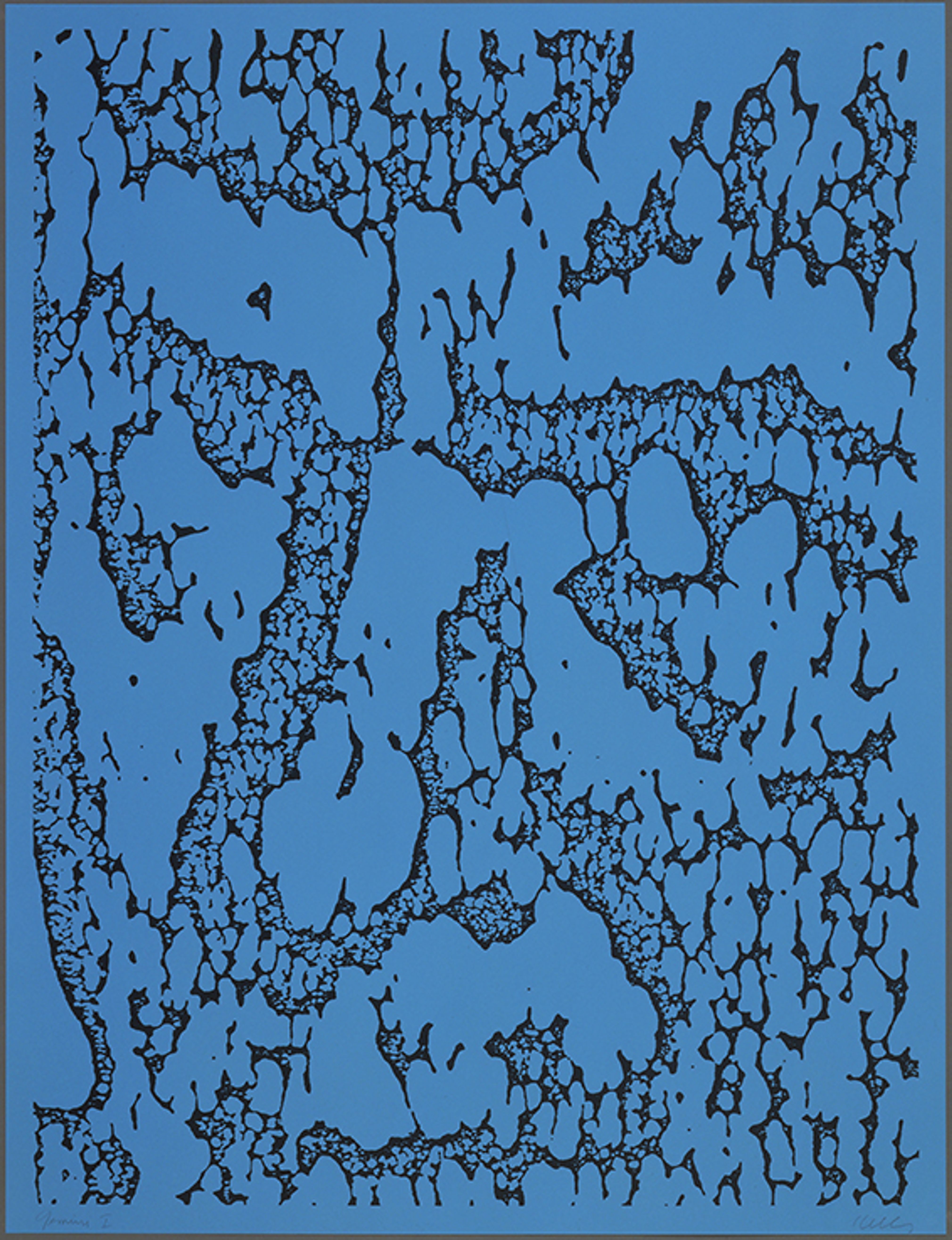 Jack/Blue