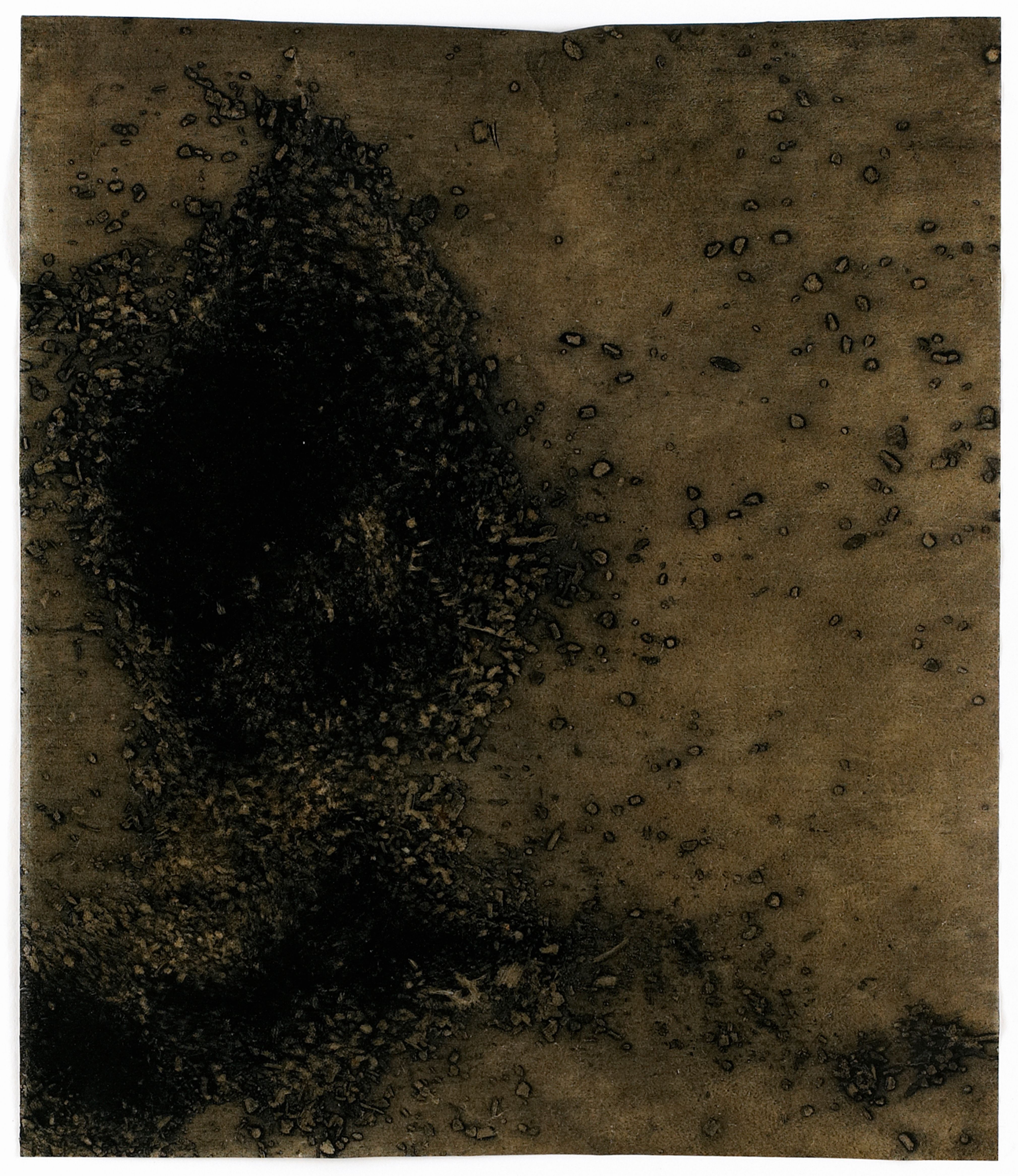 Without Title [Carbon Removal]
