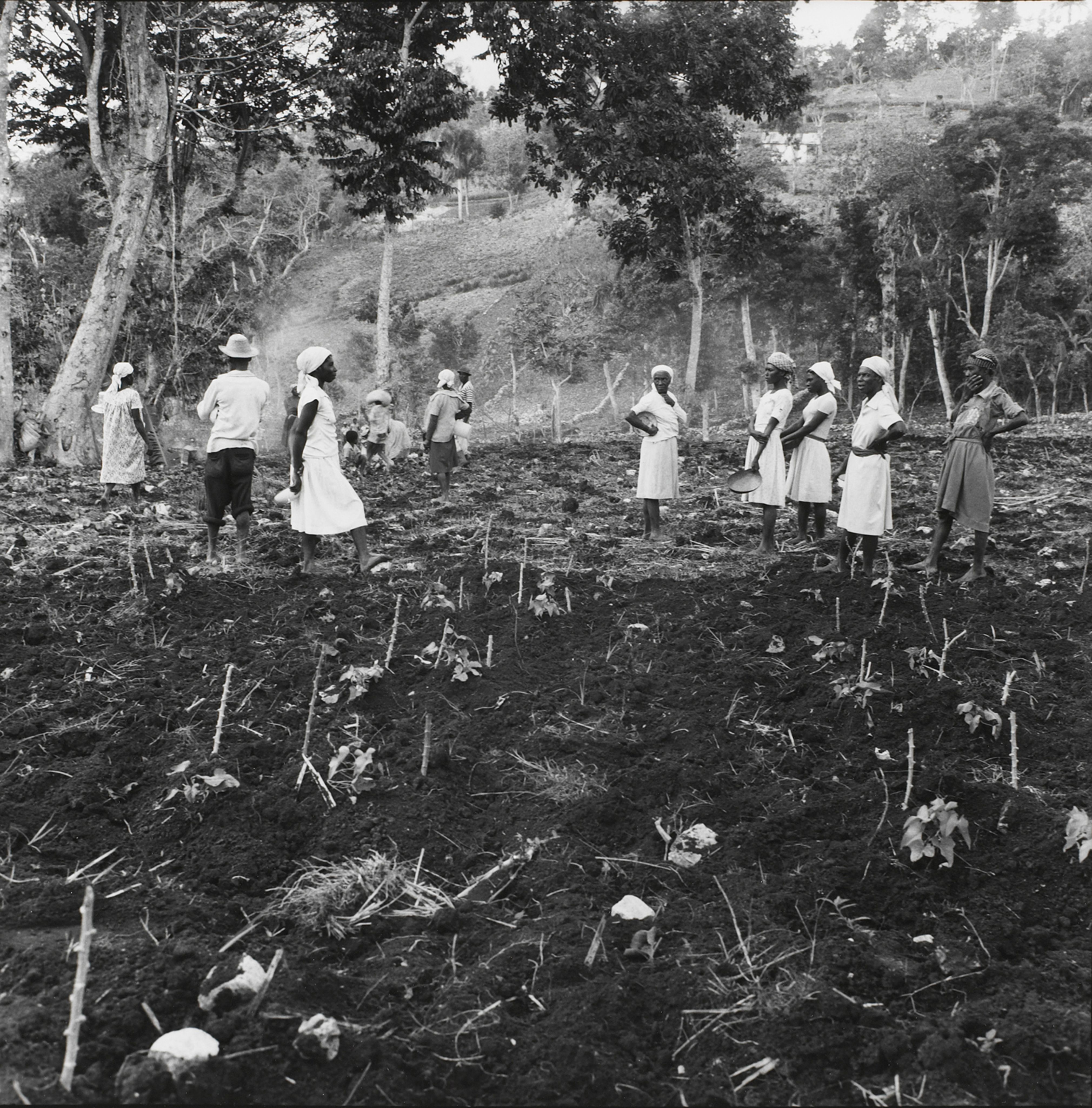 Women wait to plant a field above Jacmal