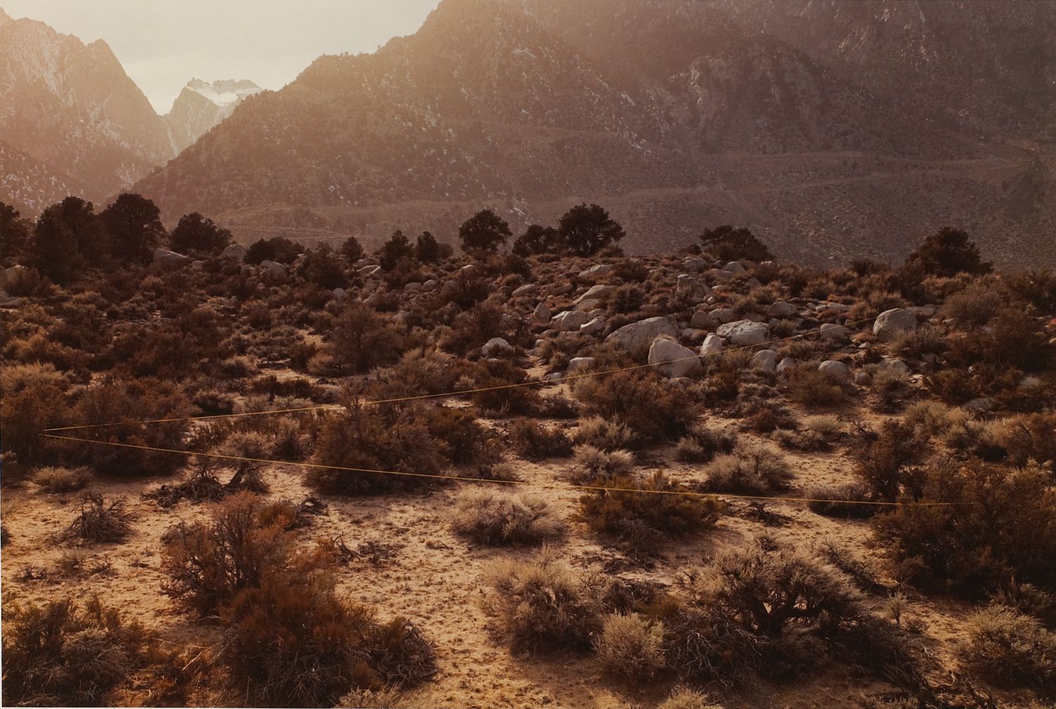 Repeated Roadcut, Alabama Hills, California