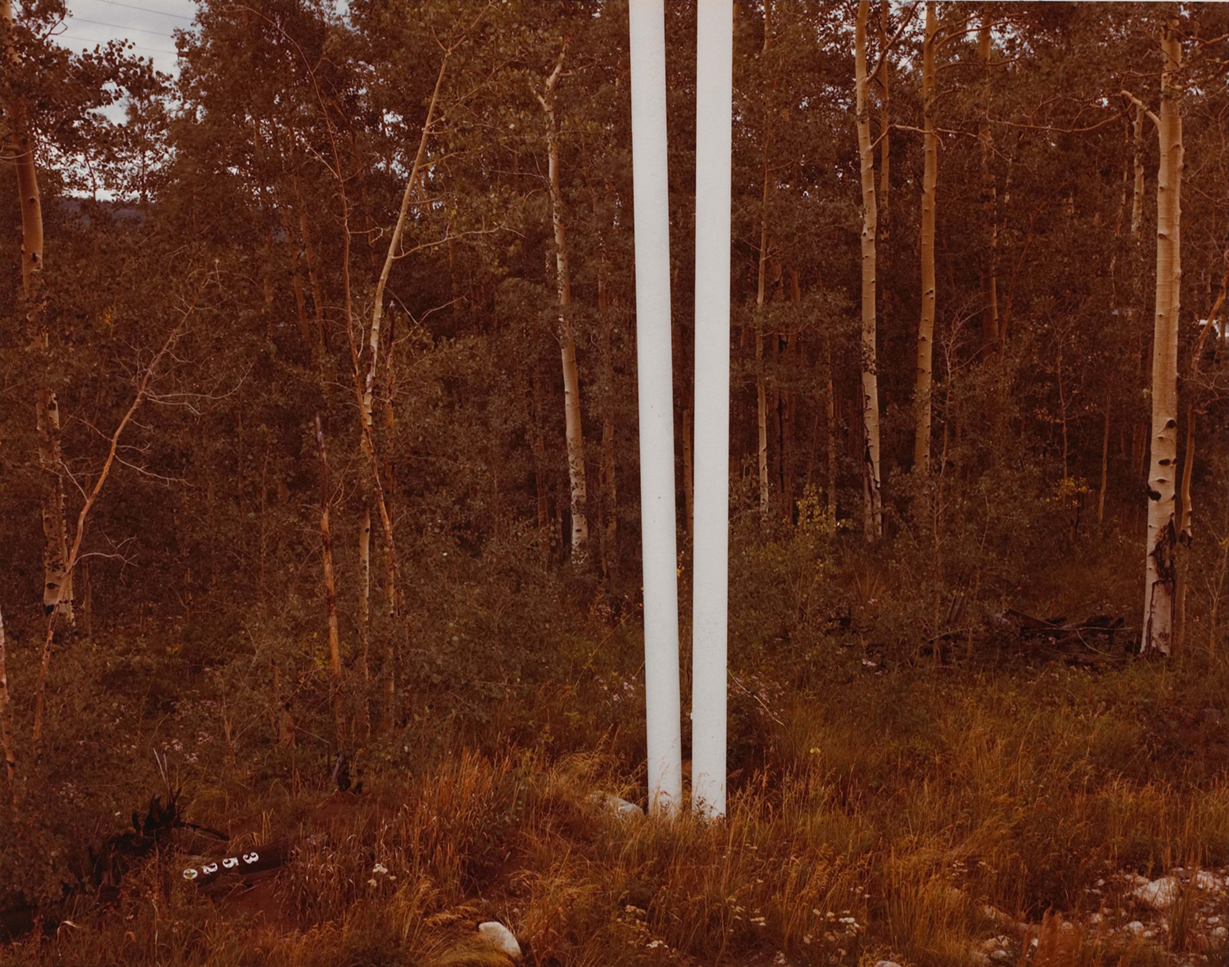 Standard Oil Aspens, Frisco, Colorado