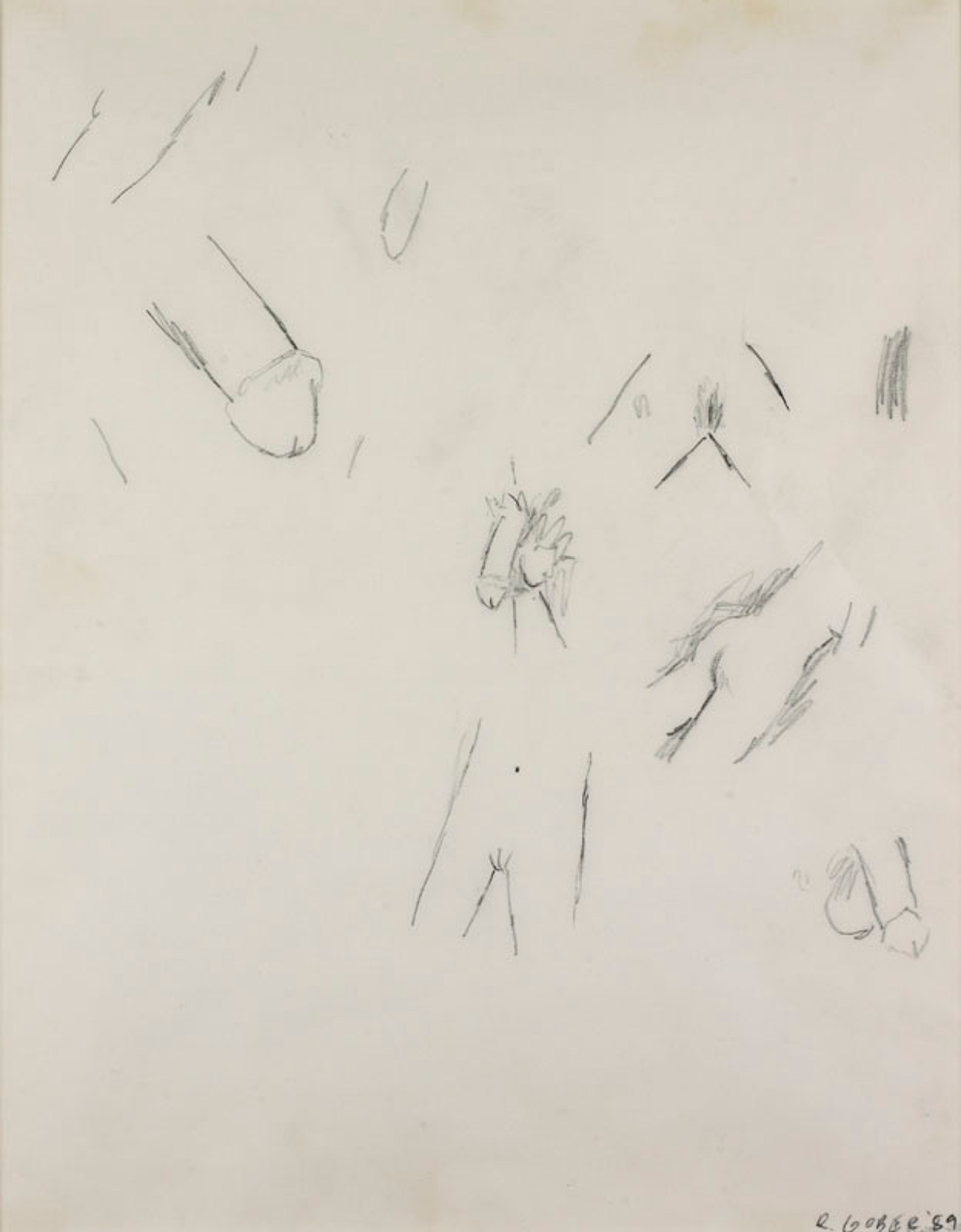 Genital Drawing