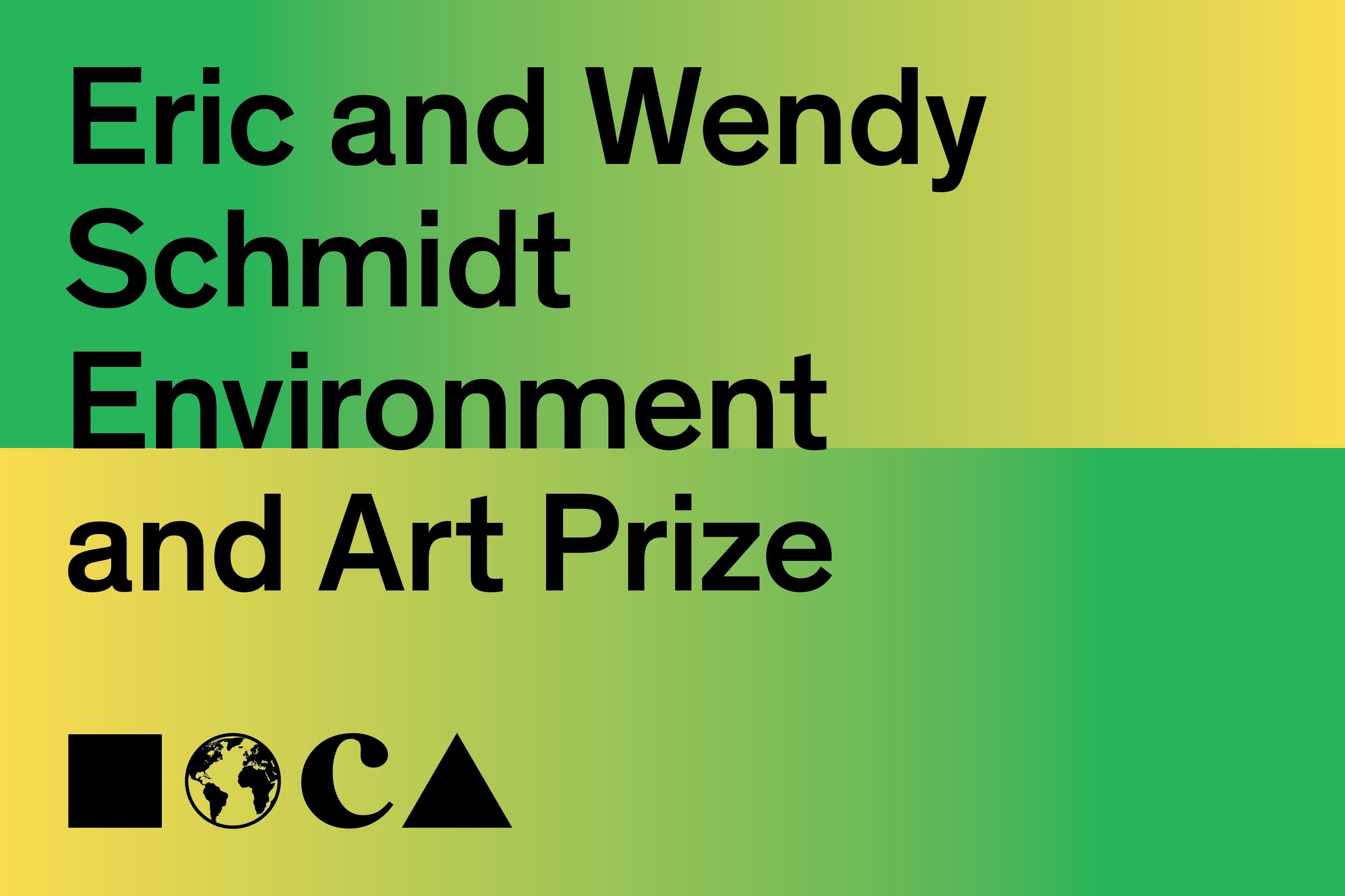 Eric and Wendy Schmidt Environment and Art Prize | MOCA LA