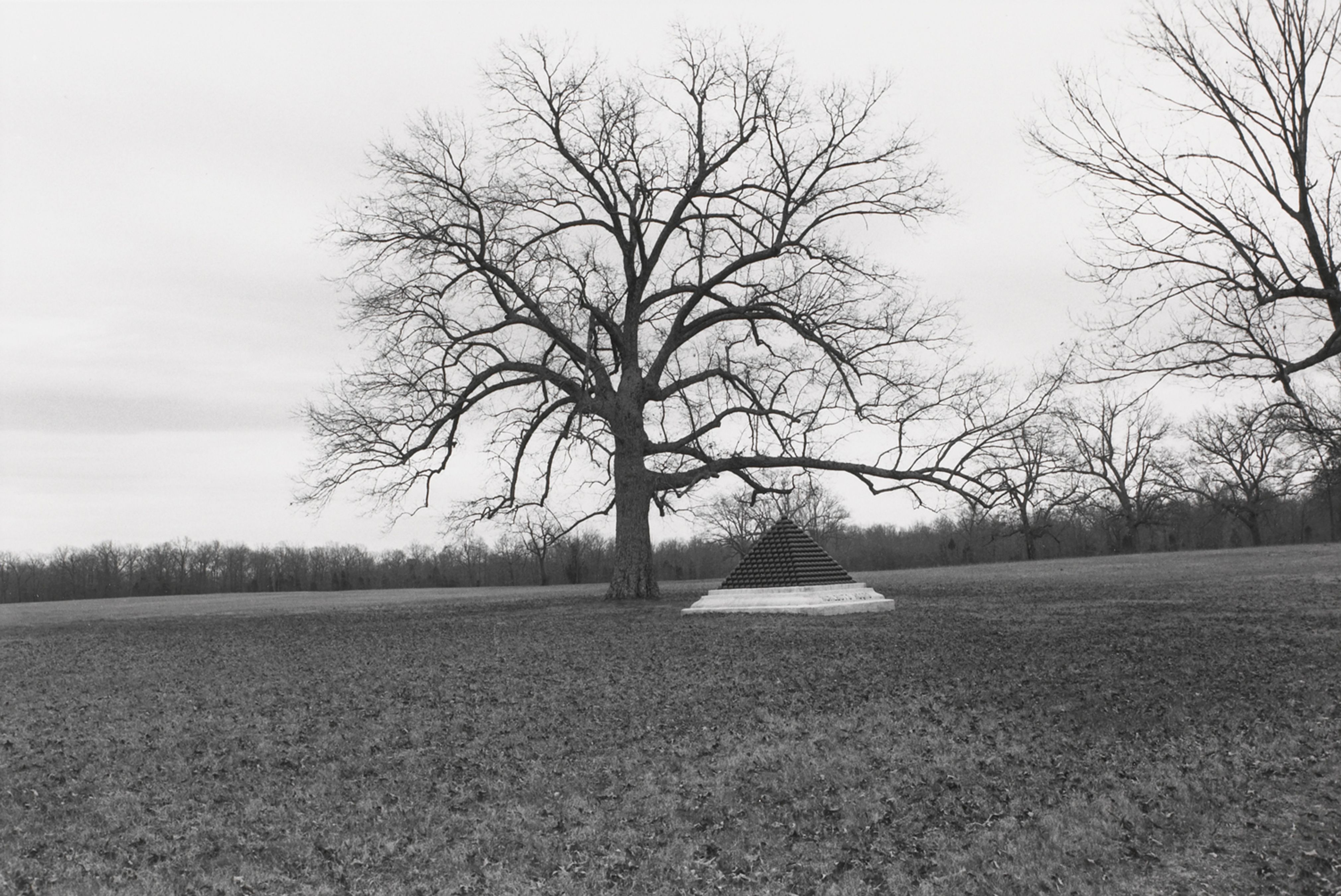 Untitled from Shiloh National Military Park, Tenessee (cannon ball pyramid and tree)