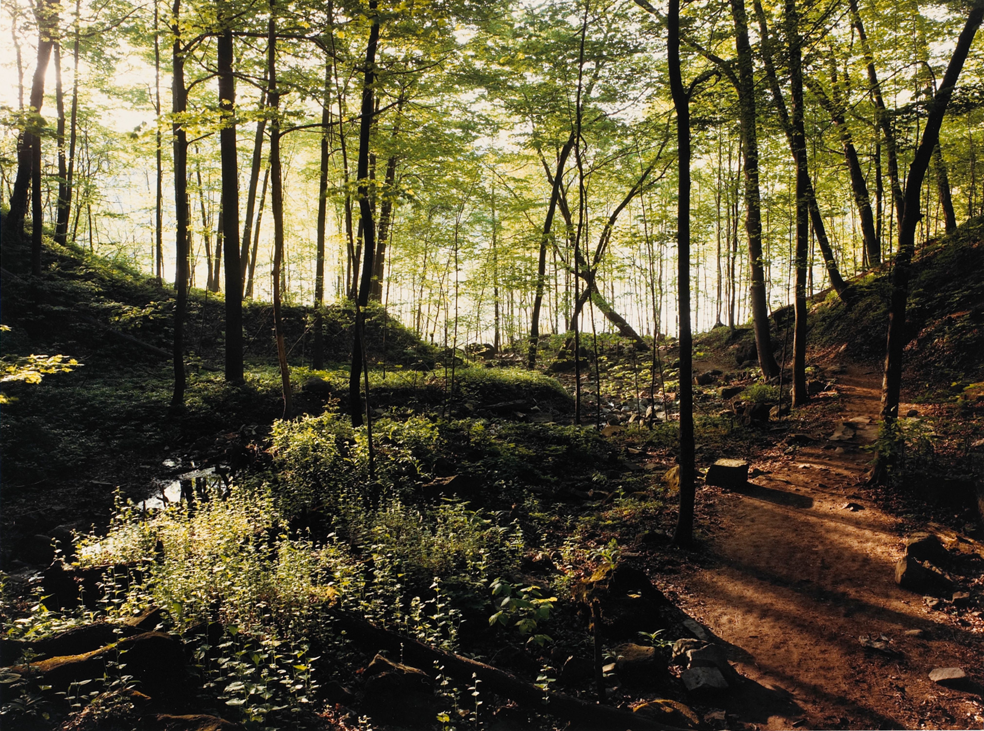 Path to the Whirlpool