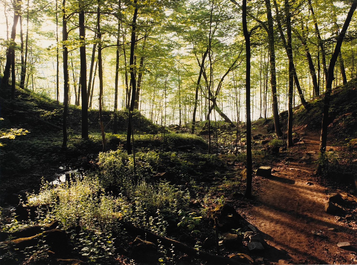 Path to the Whirlpool