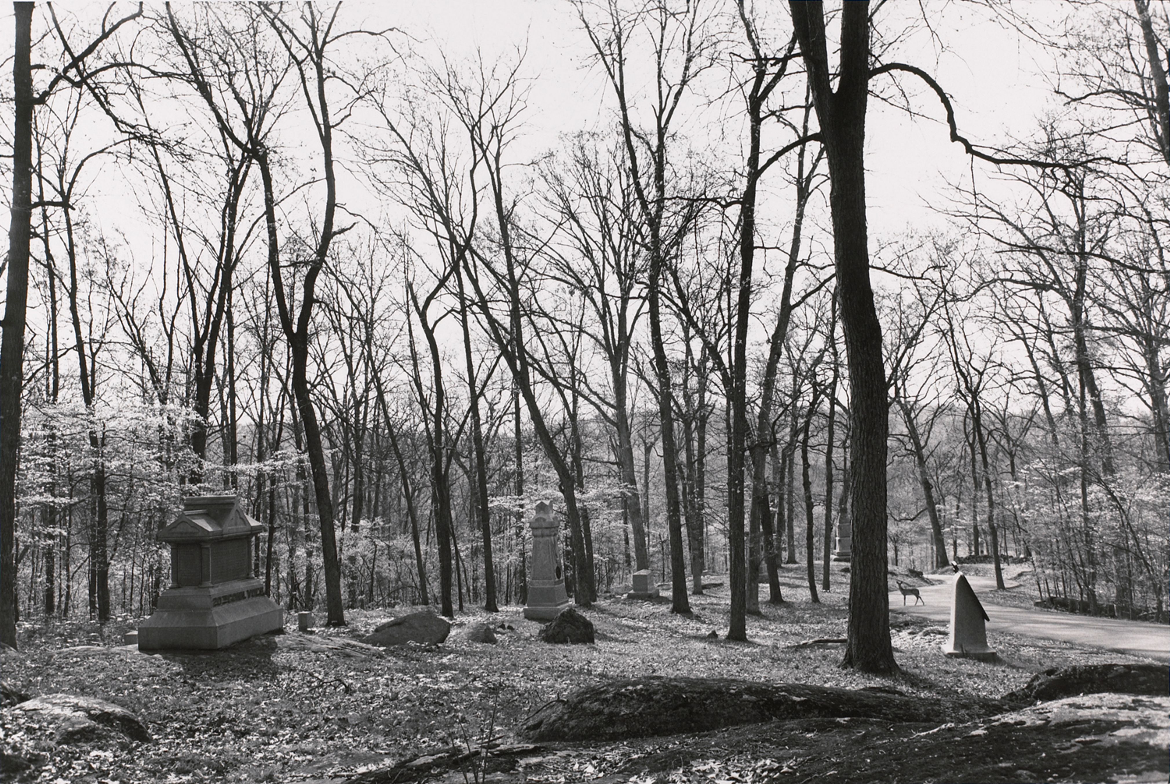 South Culp’s Hill. Gettysburg National Military Park