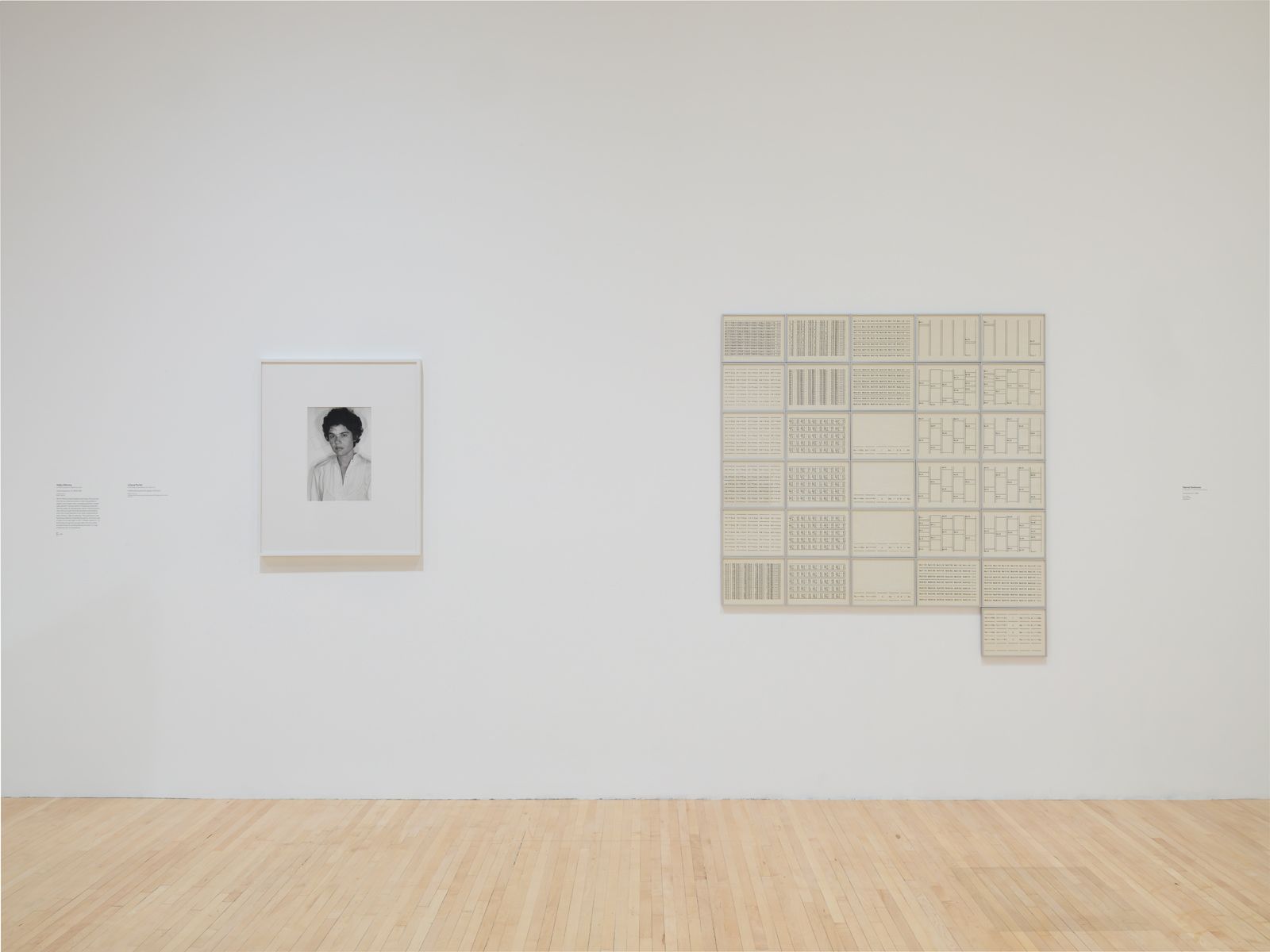 The Expanding Field: MOCA's Collection from the 1940s to 1970s