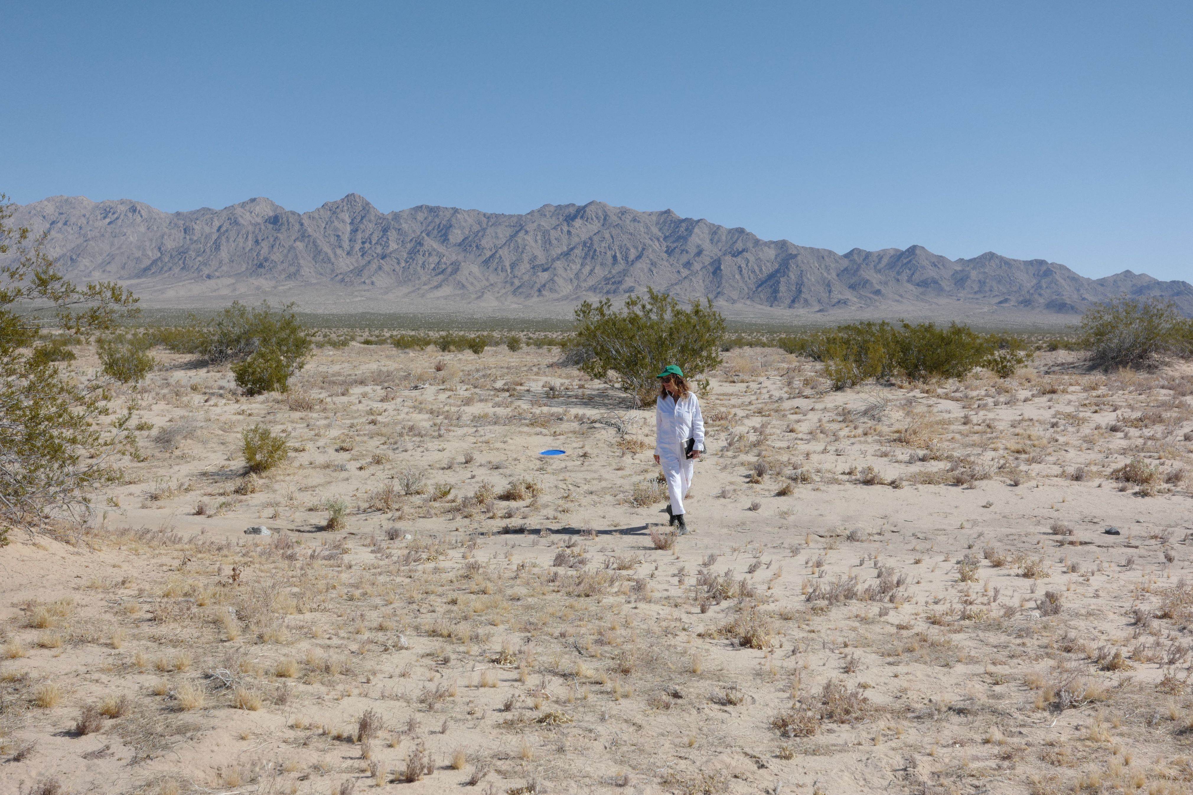 Lita Albuquerque in Conversation with Grant Johnson