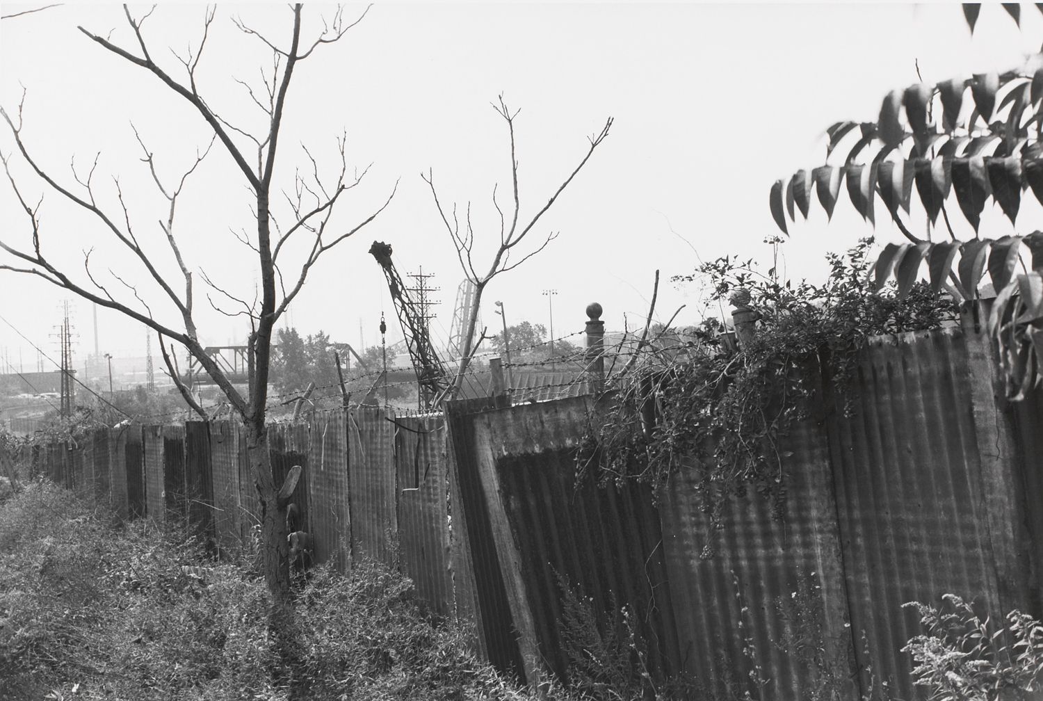 CLEVELAND, OHIO (fence)