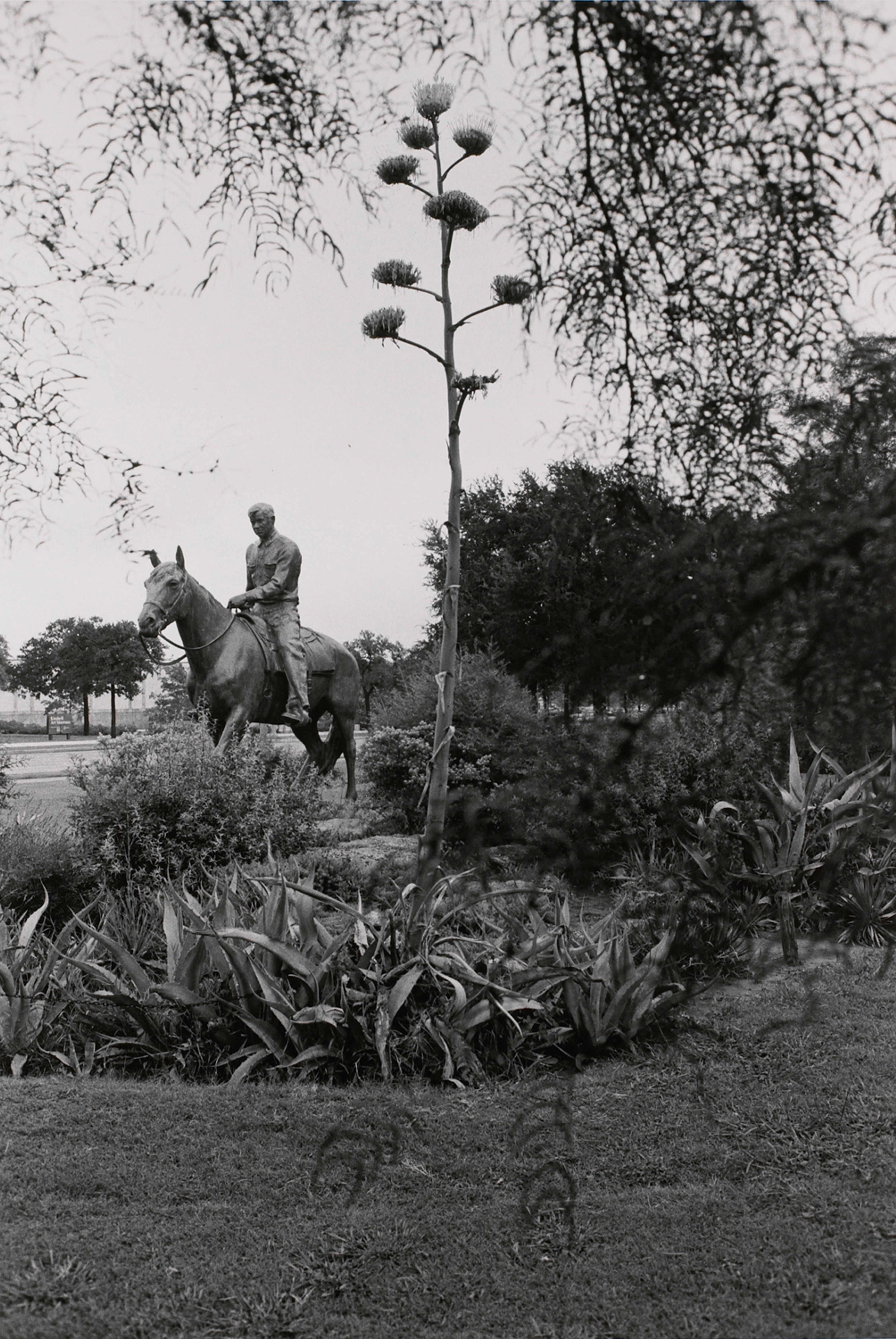 Will Rogers. Fort Worth, Texas