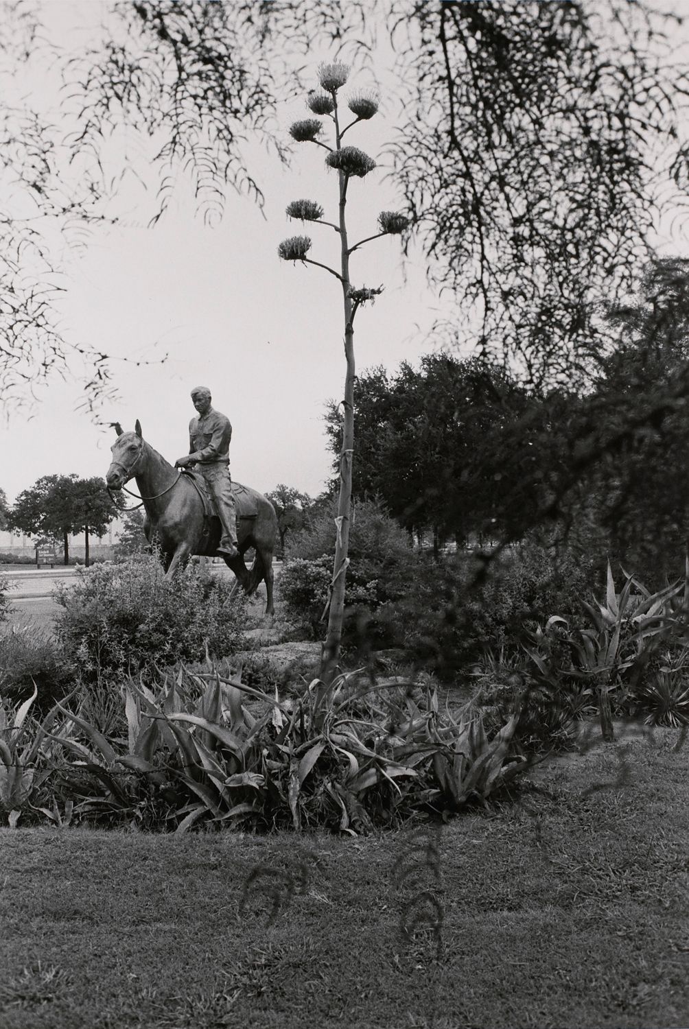Will Rogers. Fort Worth, Texas