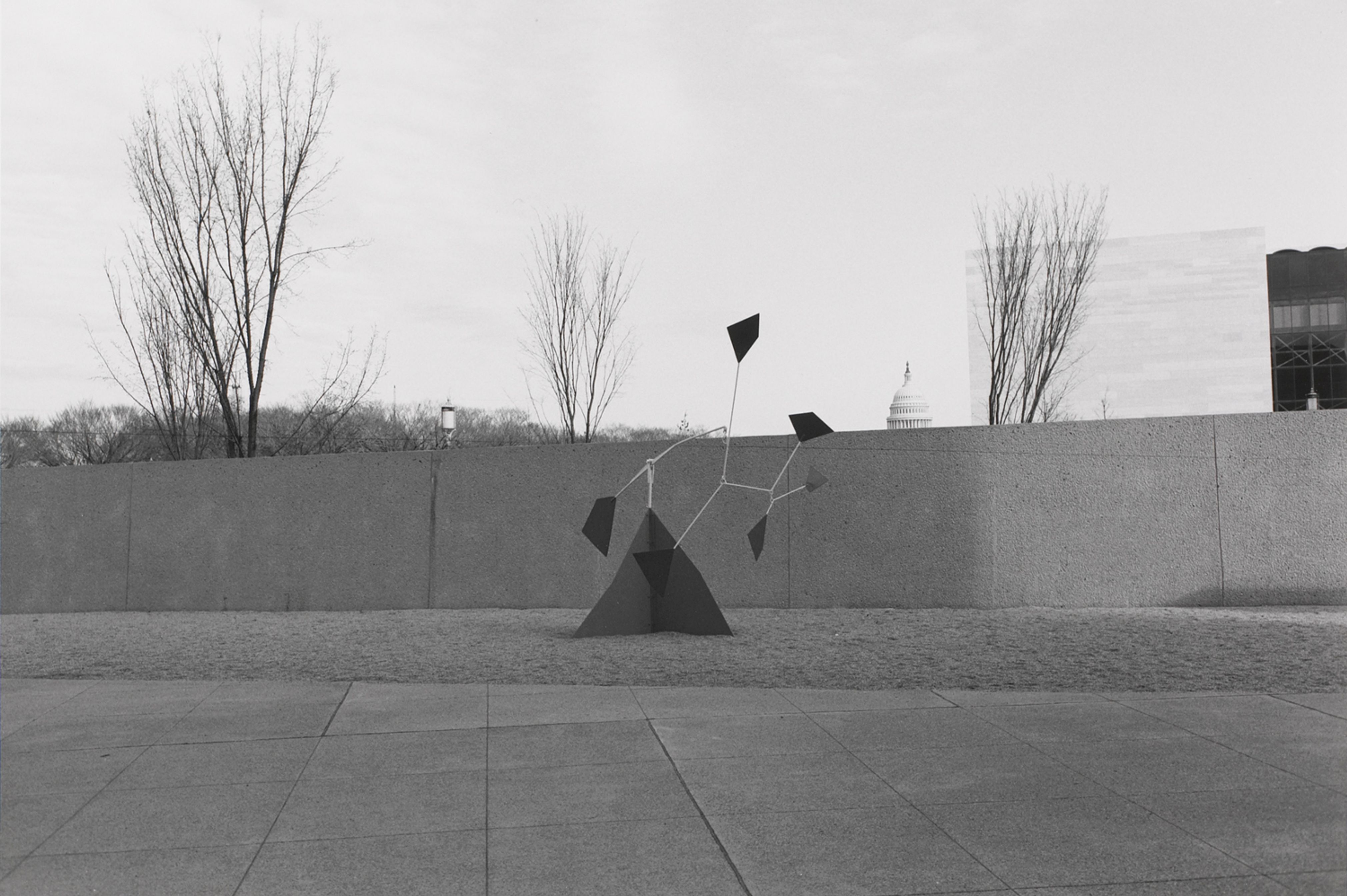 Untitled, Sculpture of Kites and Capital Building