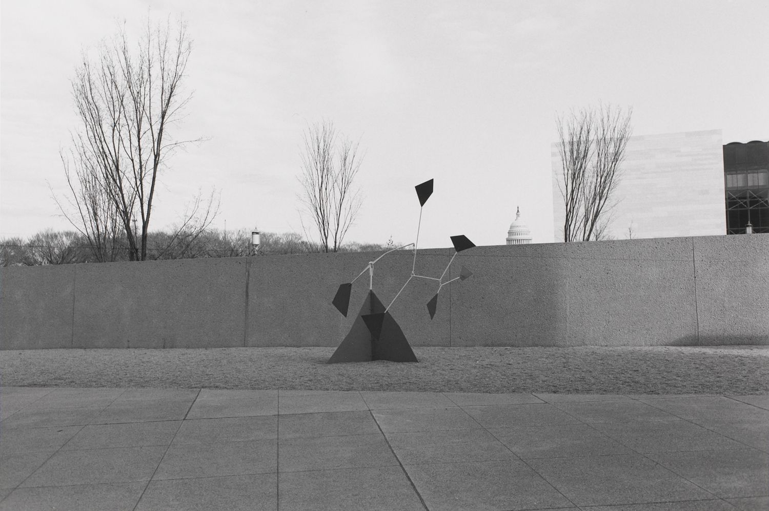 Untitled, Sculpture of Kites and Capital Building