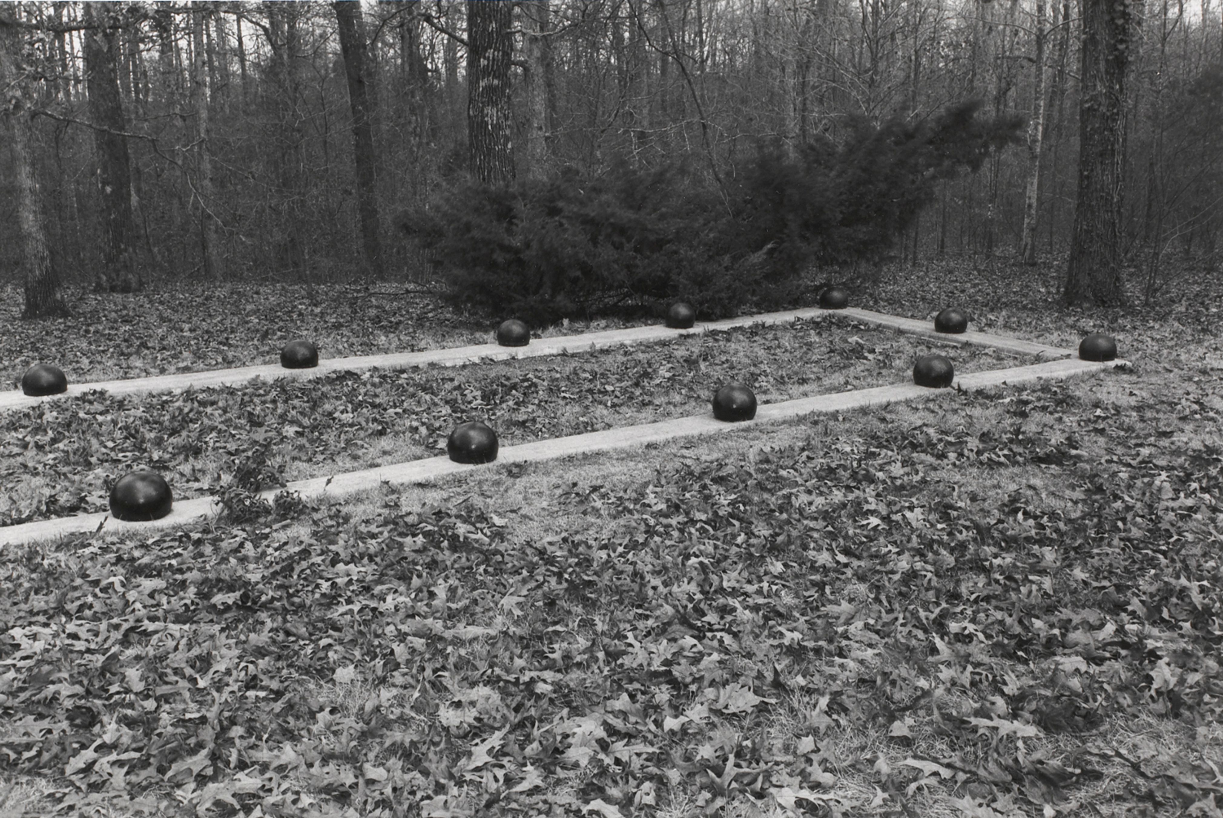 Untitled from Shiloh National Military Park, Tenessee (view from outside rectangle with balls)