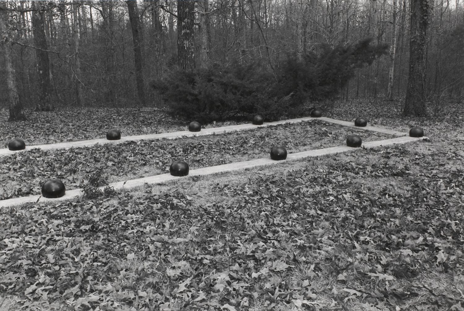 Untitled from Shiloh National Military Park, Tenessee (view from outside rectangle with balls)