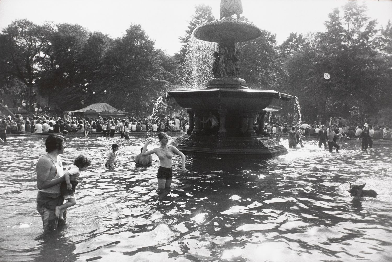 Untitled (People and dog playing in fountain, Central Park)