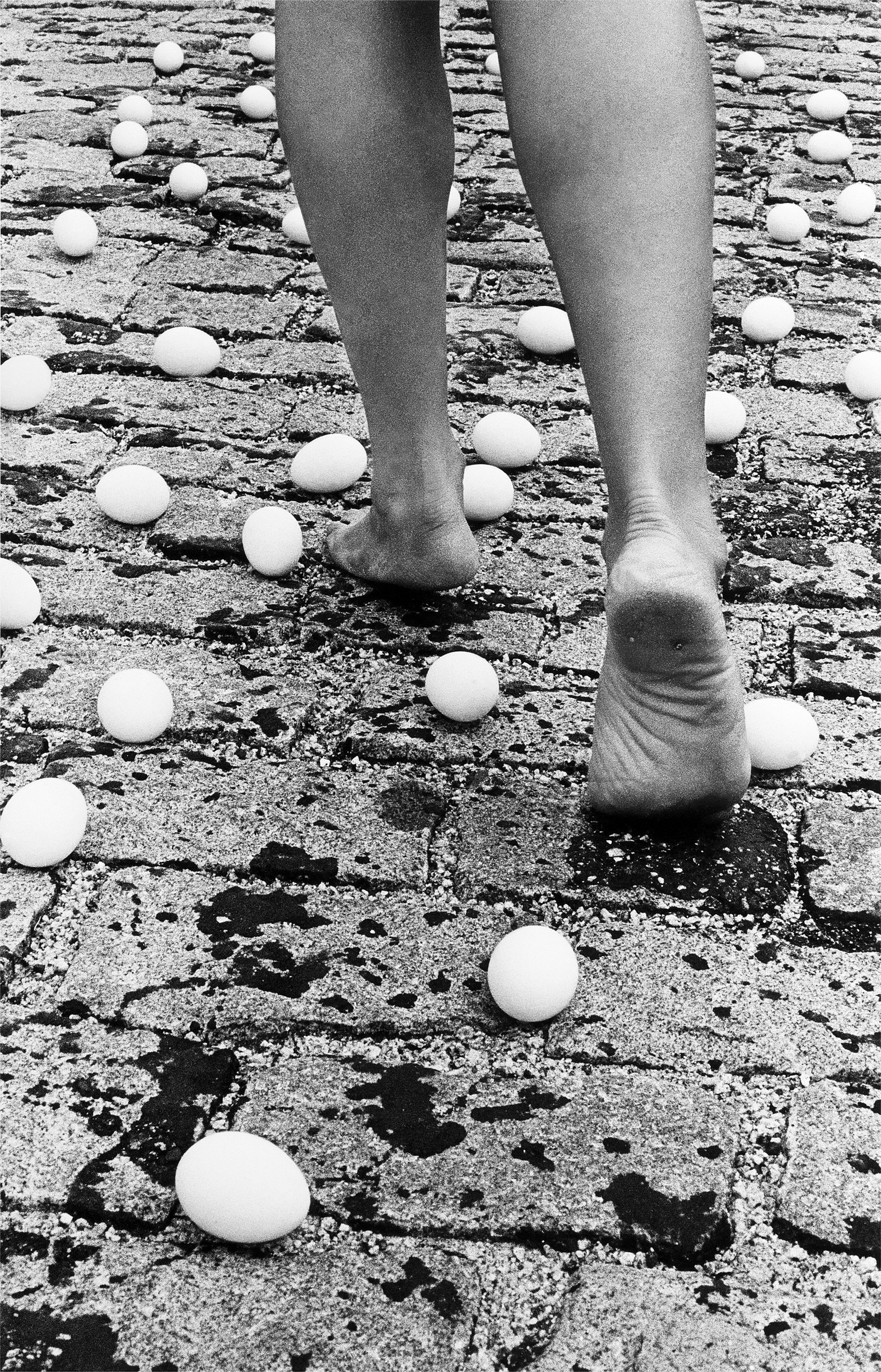 Anna Maria Maiolino: Entrevidas