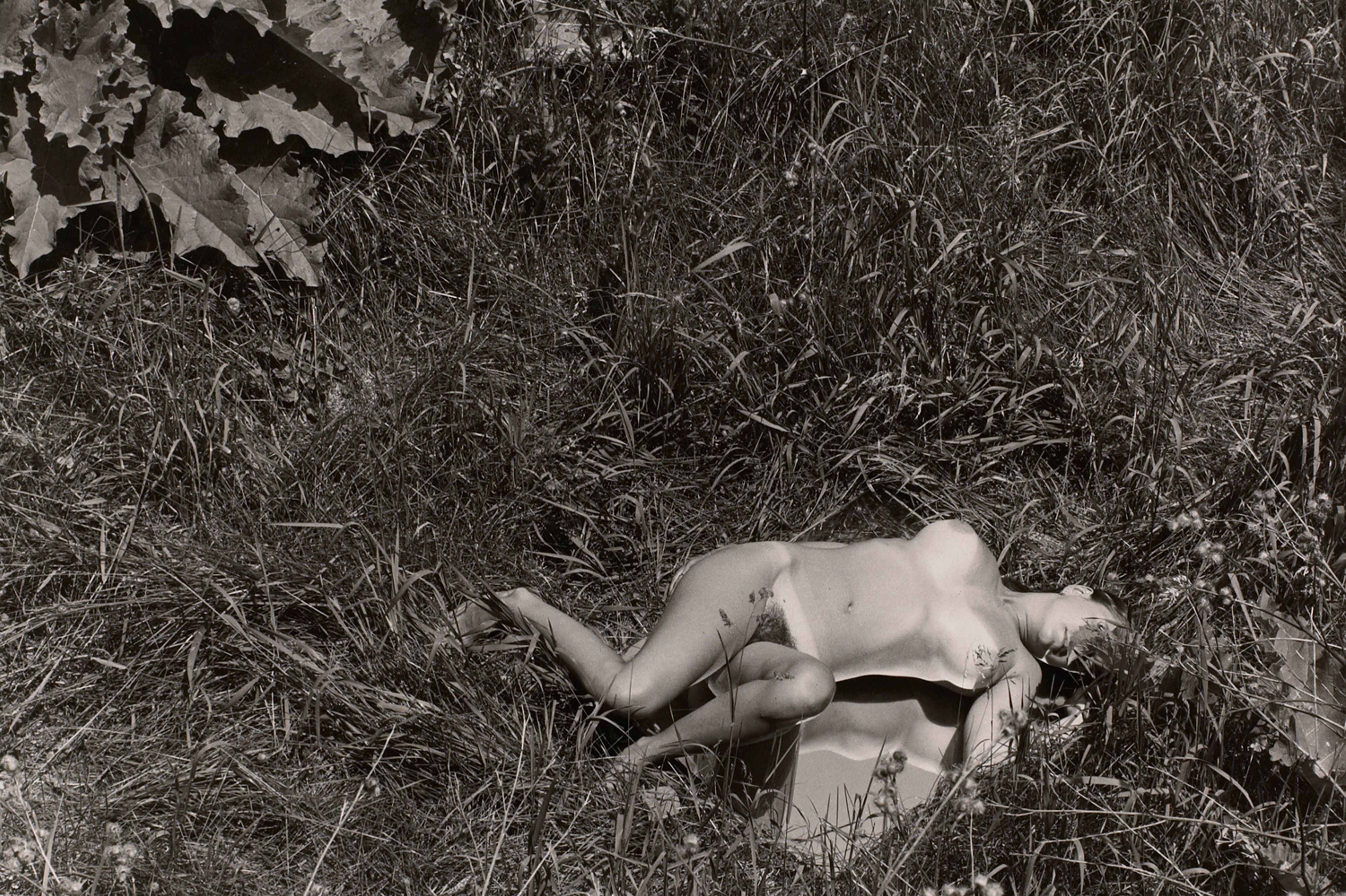 Untitled: Woman Laying On Mirror in the Grass II