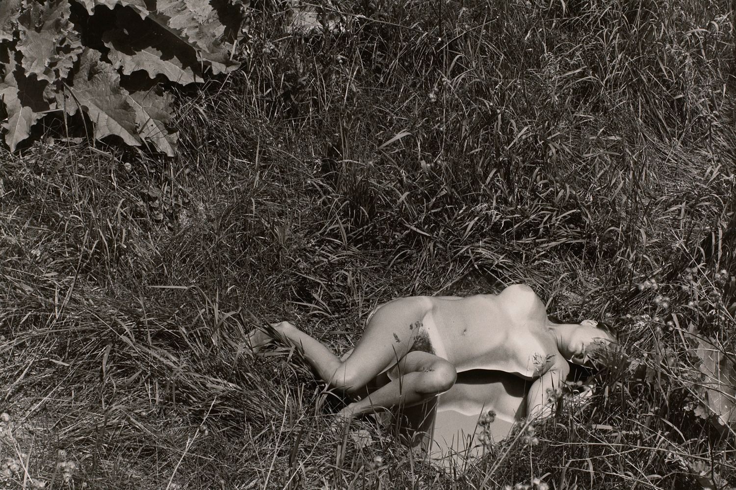 Untitled: Woman Laying On Mirror in the Grass II