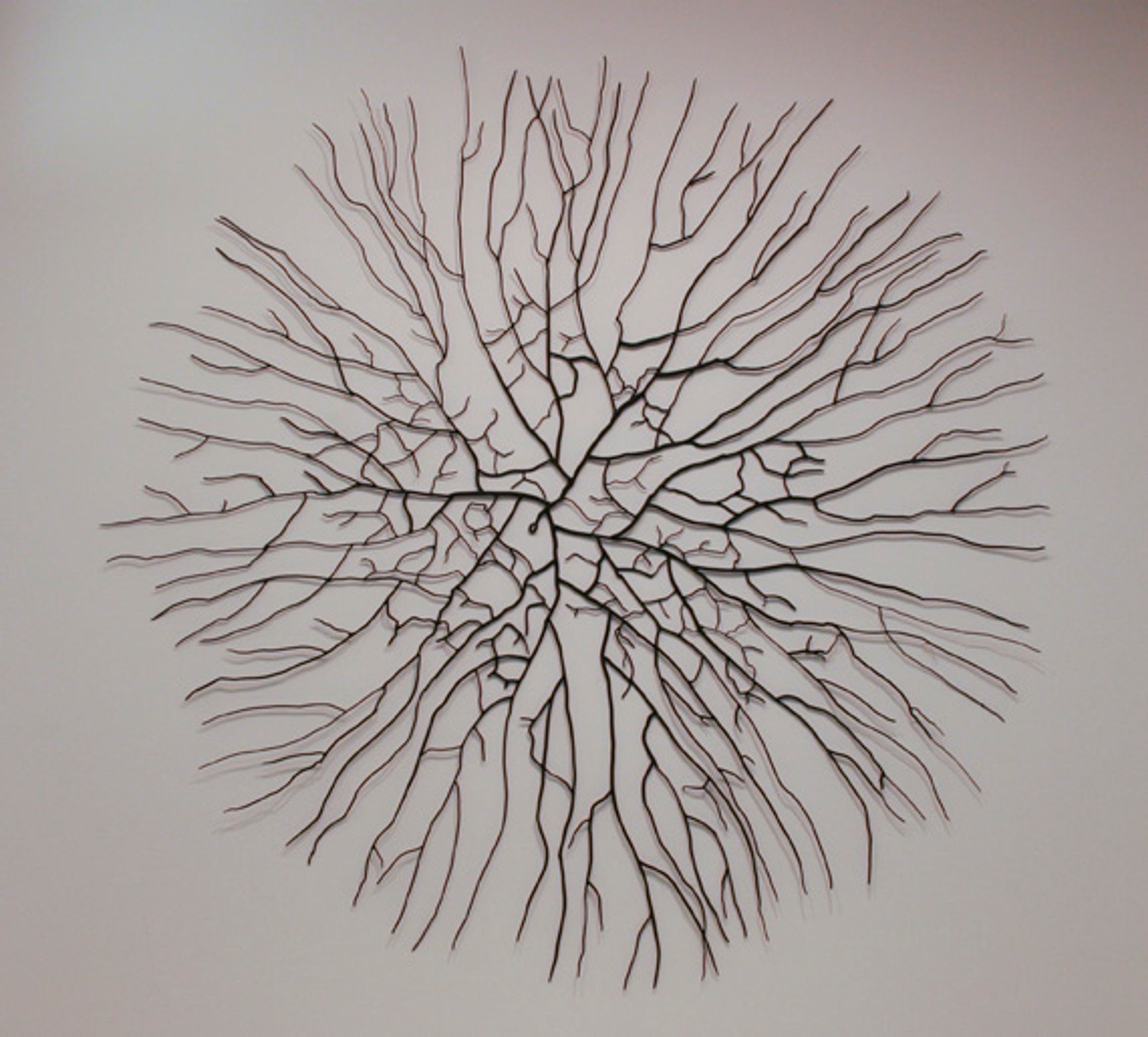 Mycelium