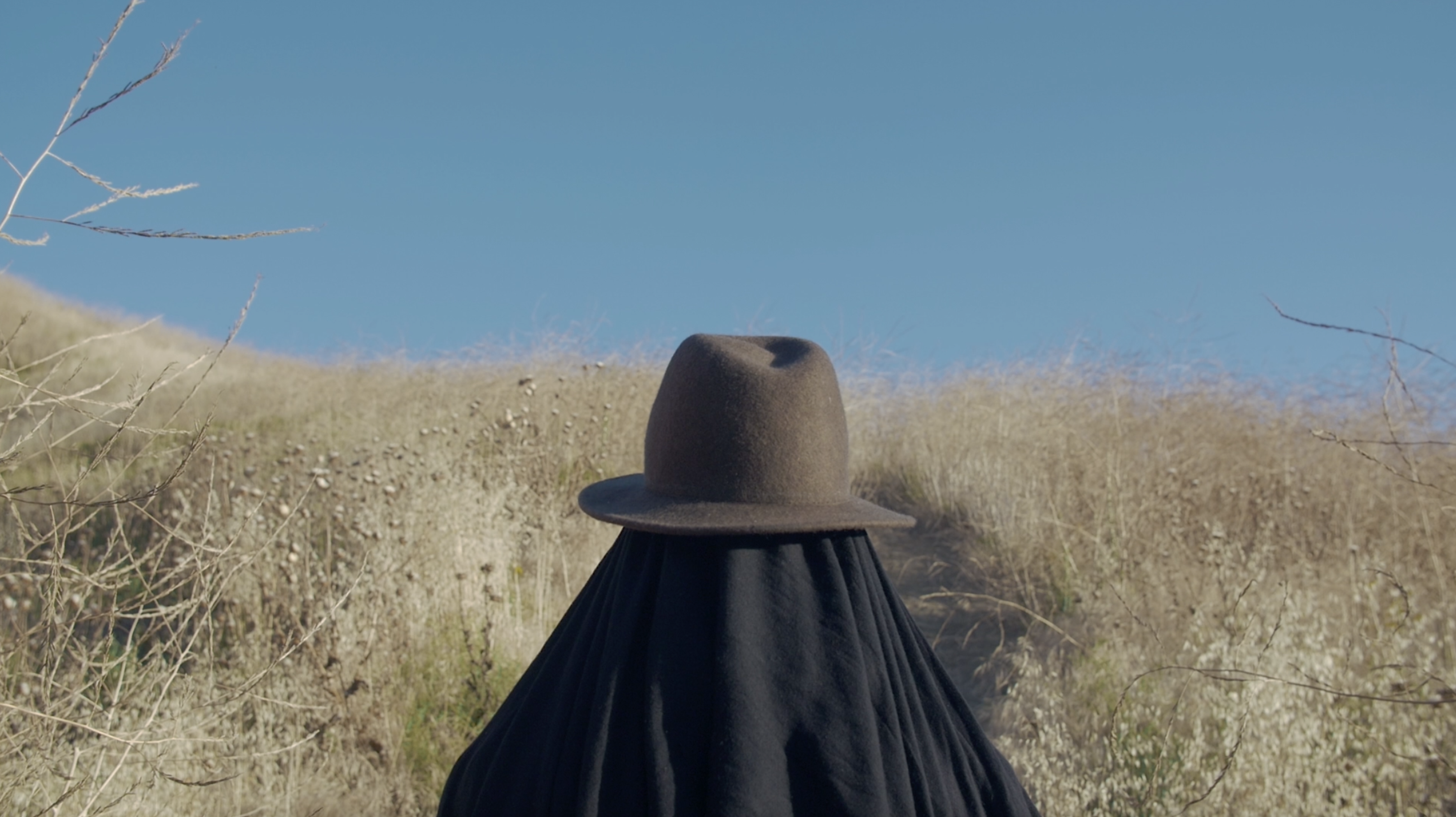 SCREEN: dana washington image