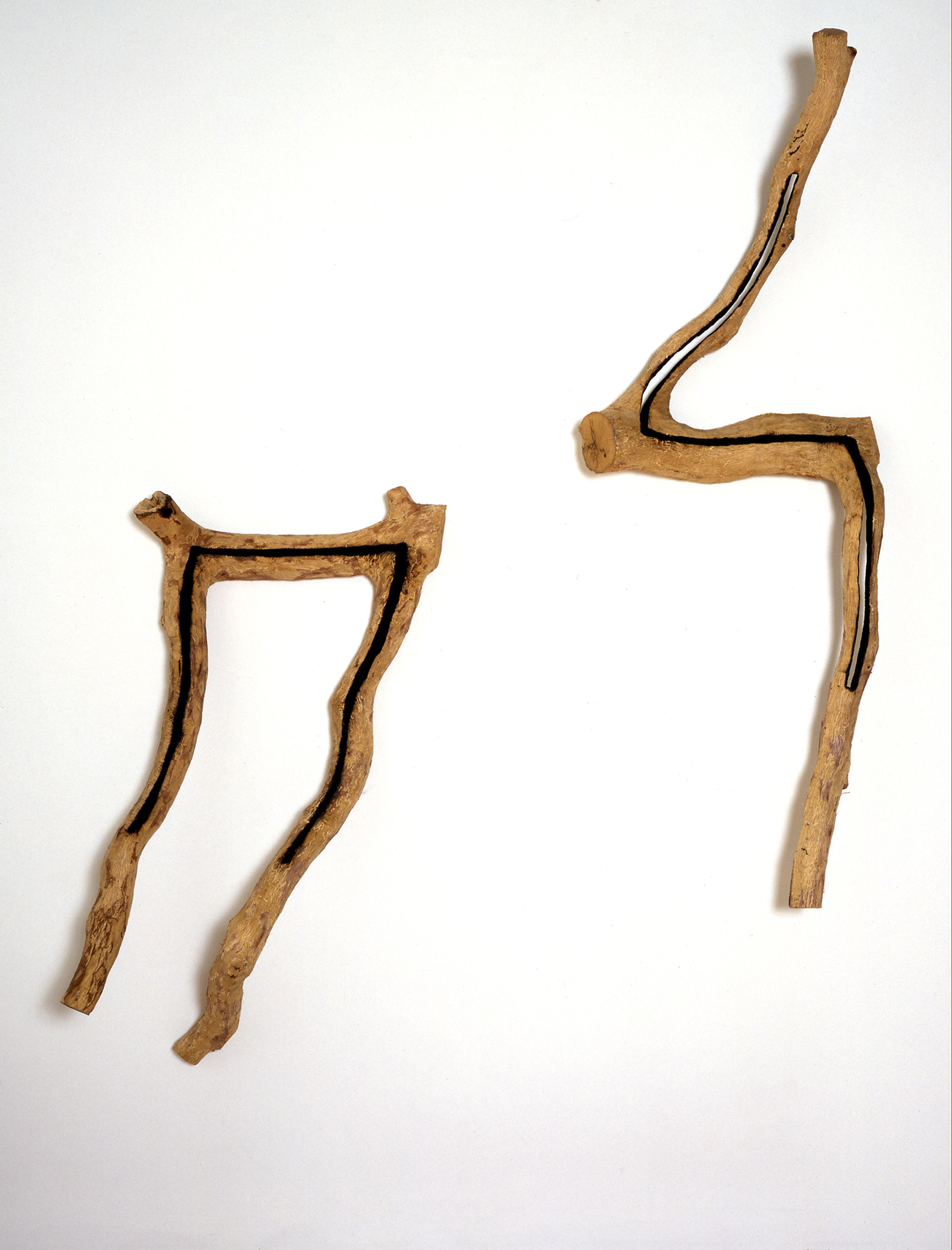 Scribed Wall Branches