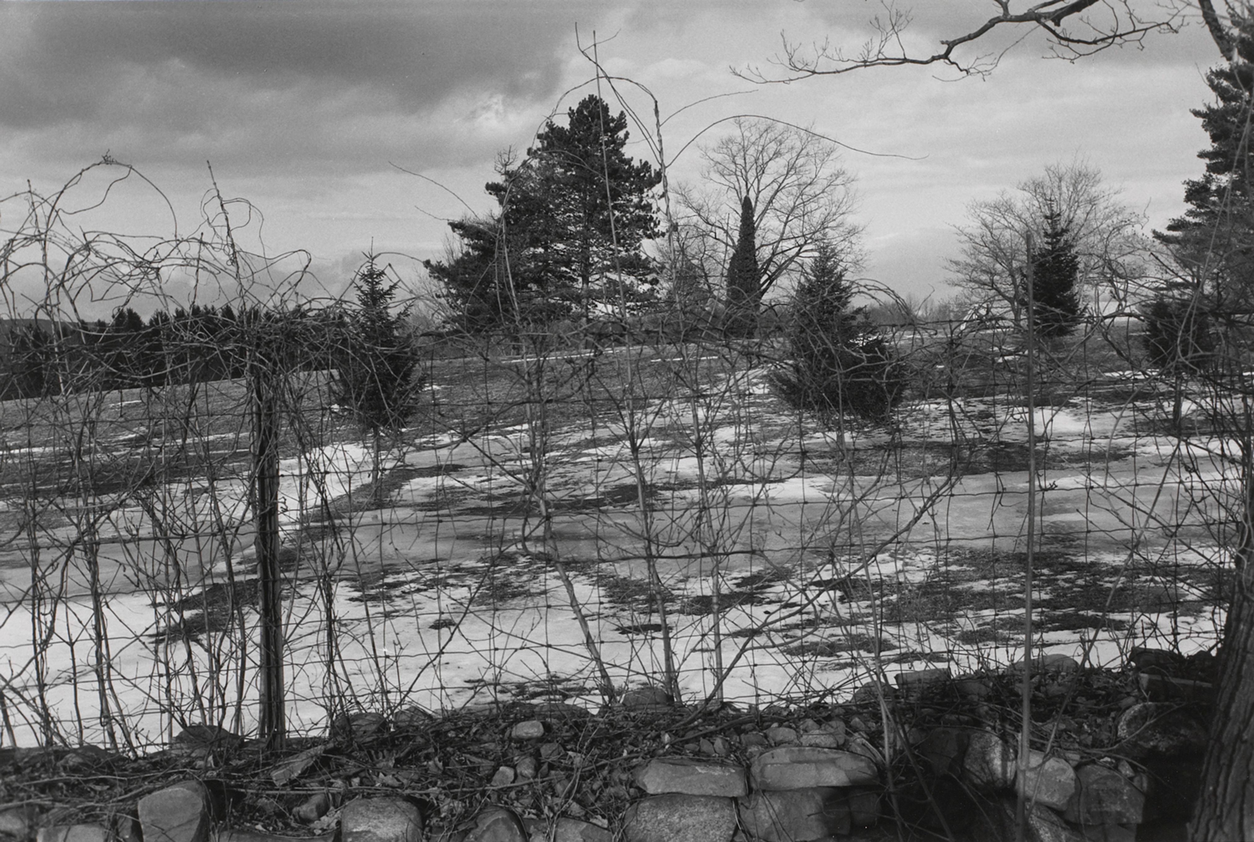 Untitled, Suffern, New Jersey (Wire Fence with Trees and Barn)