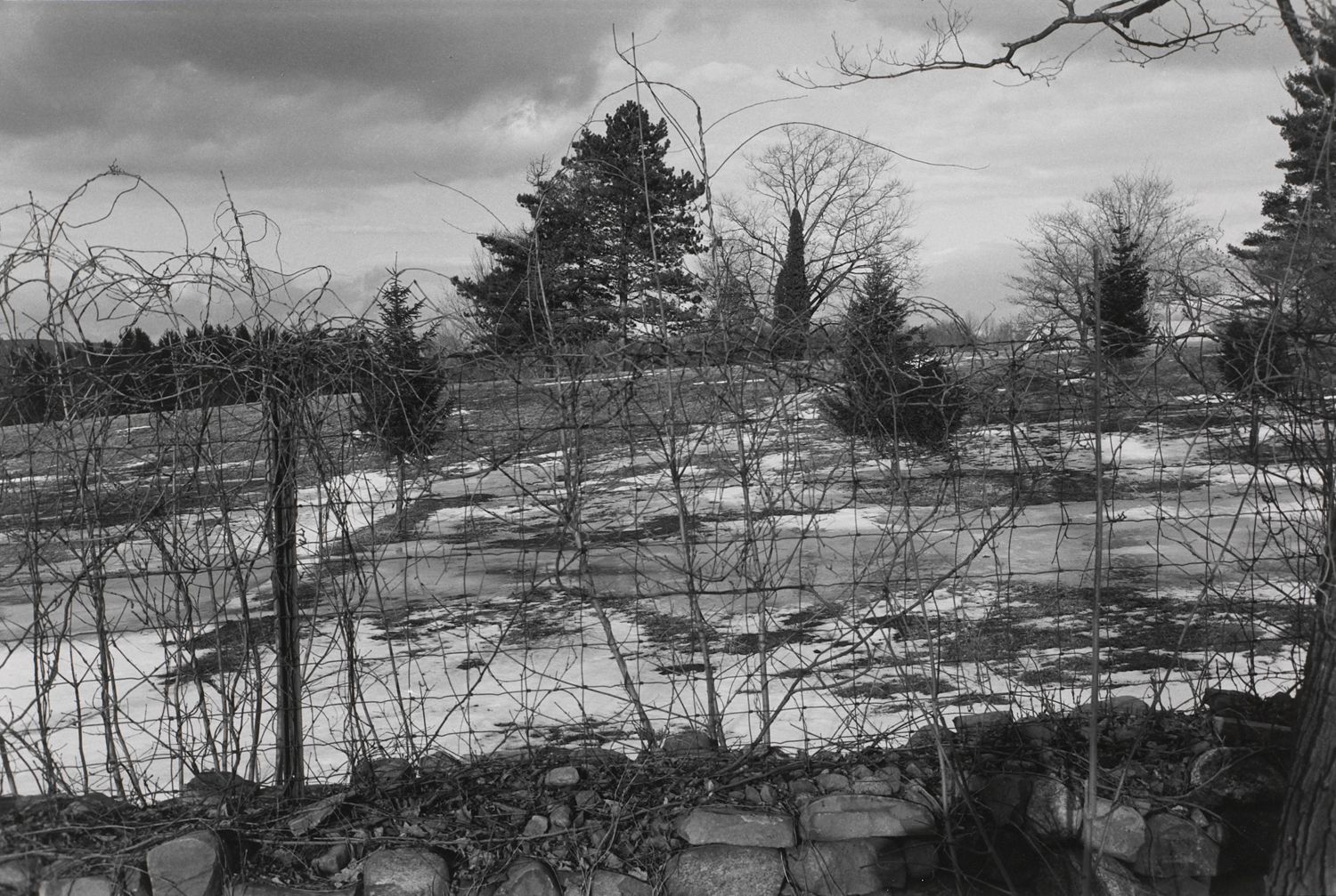 Untitled, Suffern, New Jersey (Wire Fence with Trees and Barn)