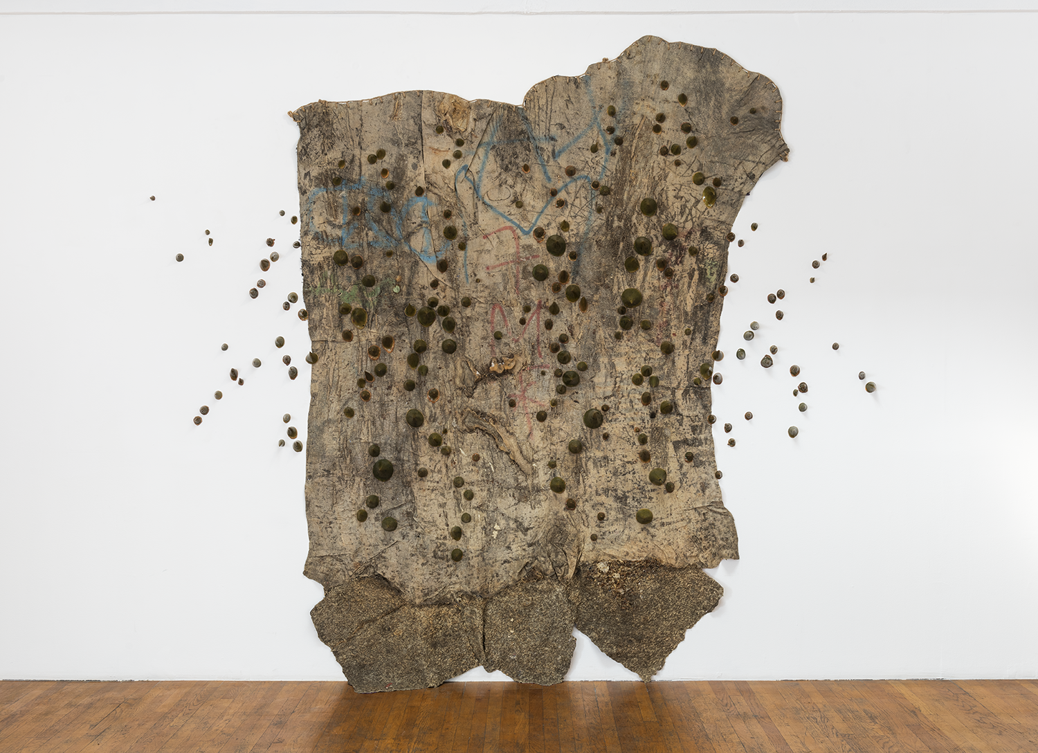 MOCA Focus: Eddie Rodolfo Aparicio