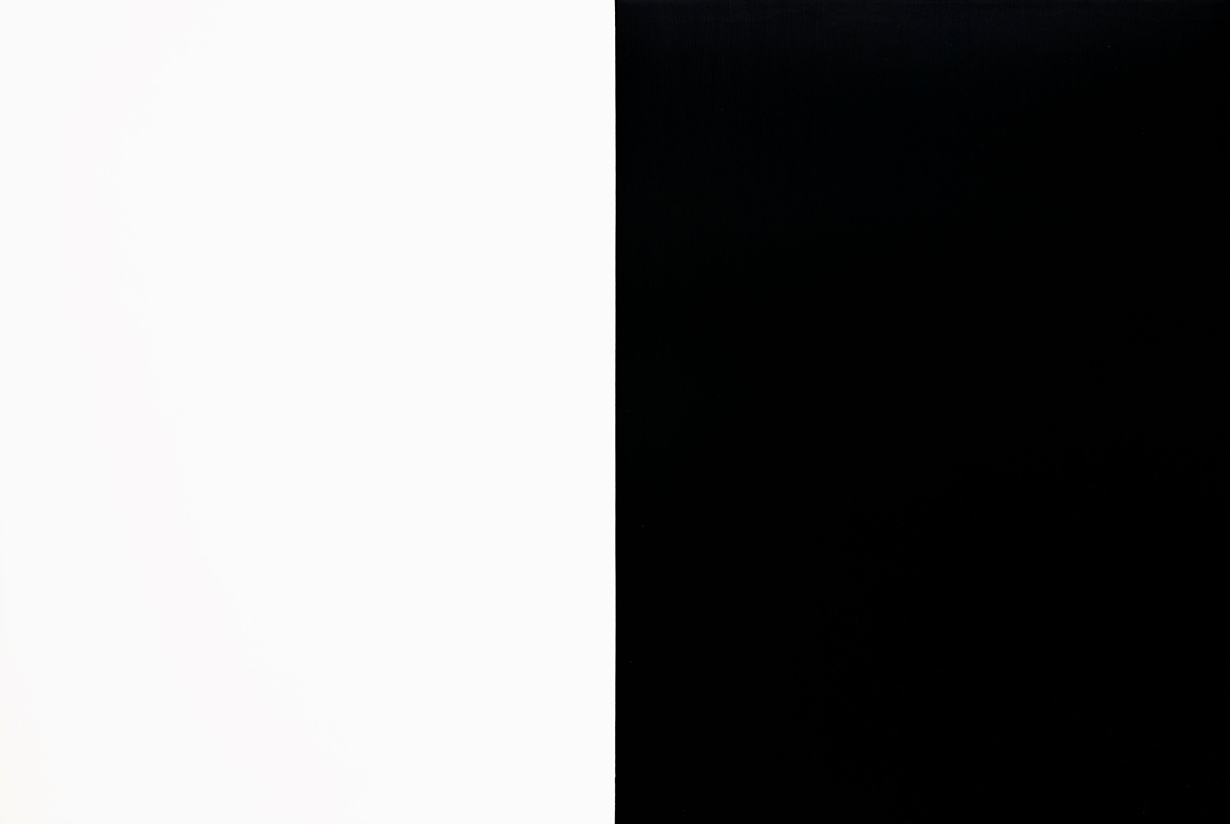 Automatic Painting 47 x 70 Black/White