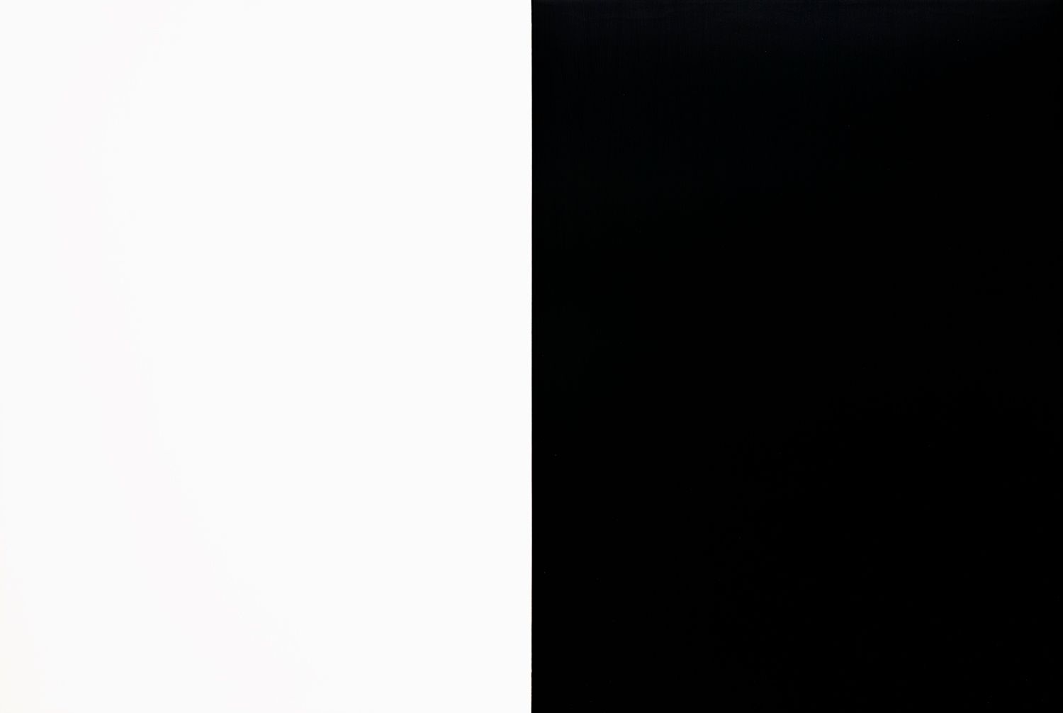 Automatic Painting 47 x 70 Black/White