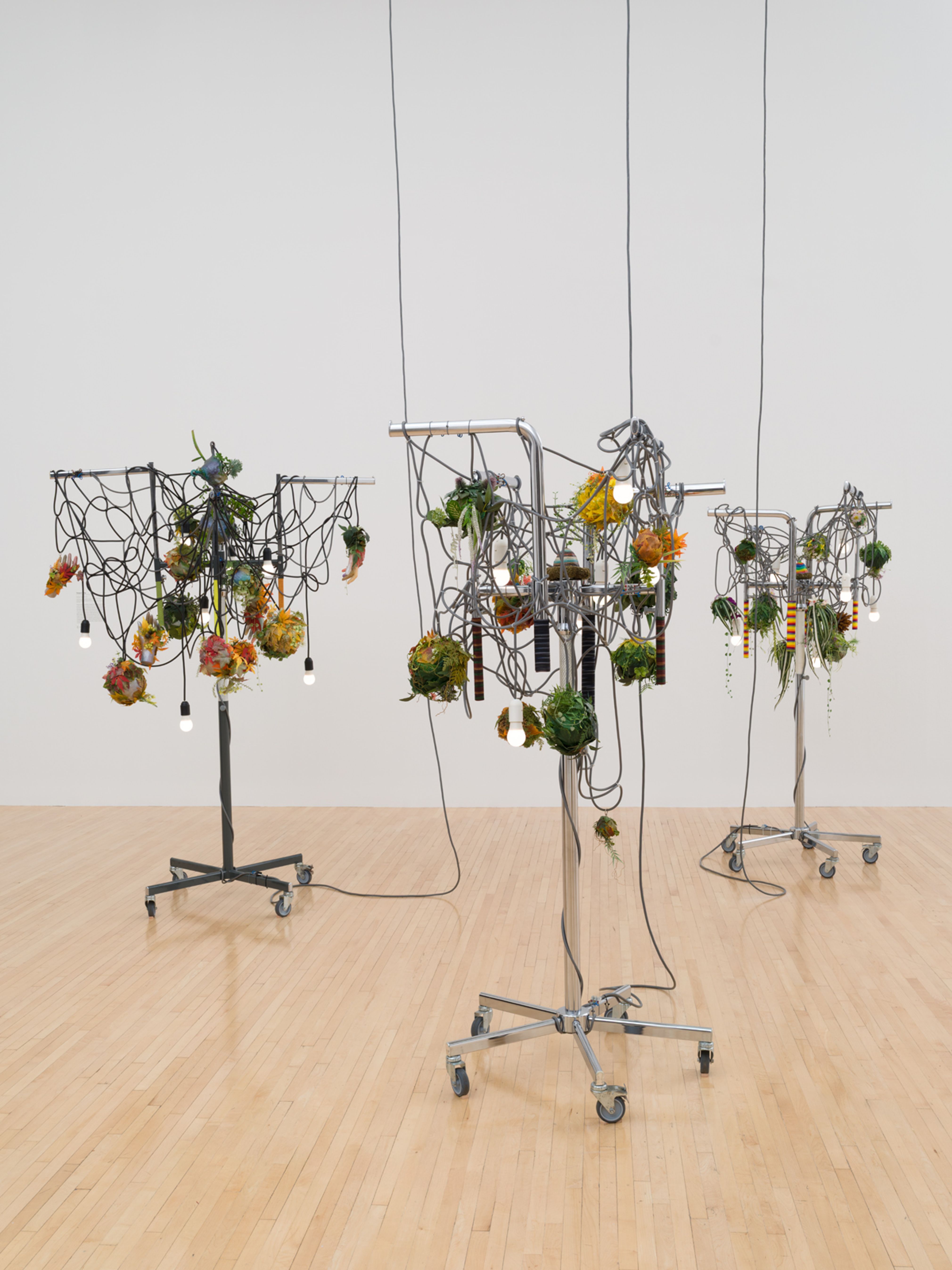 Strange Fruit