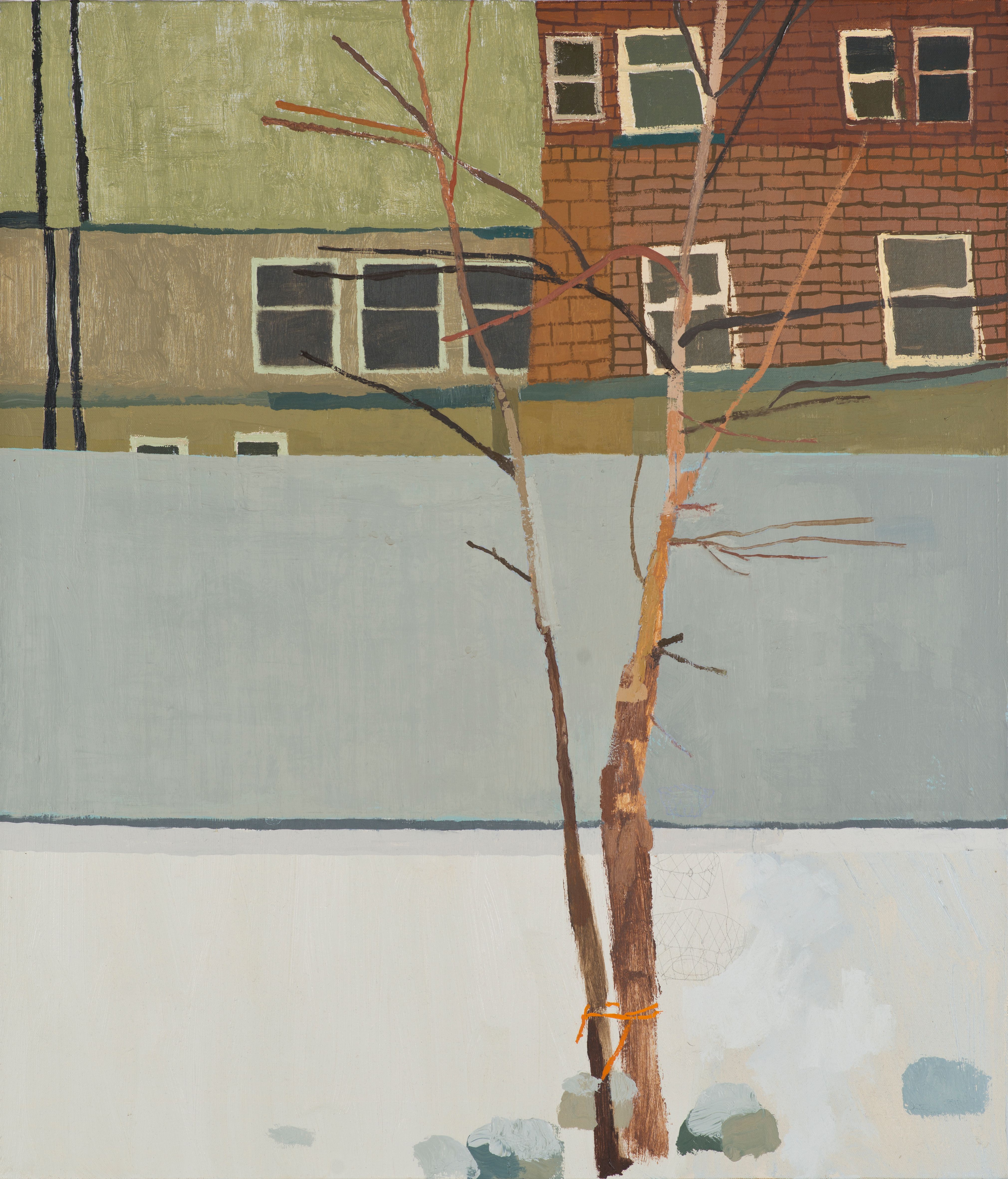 Carroll Gardens in February