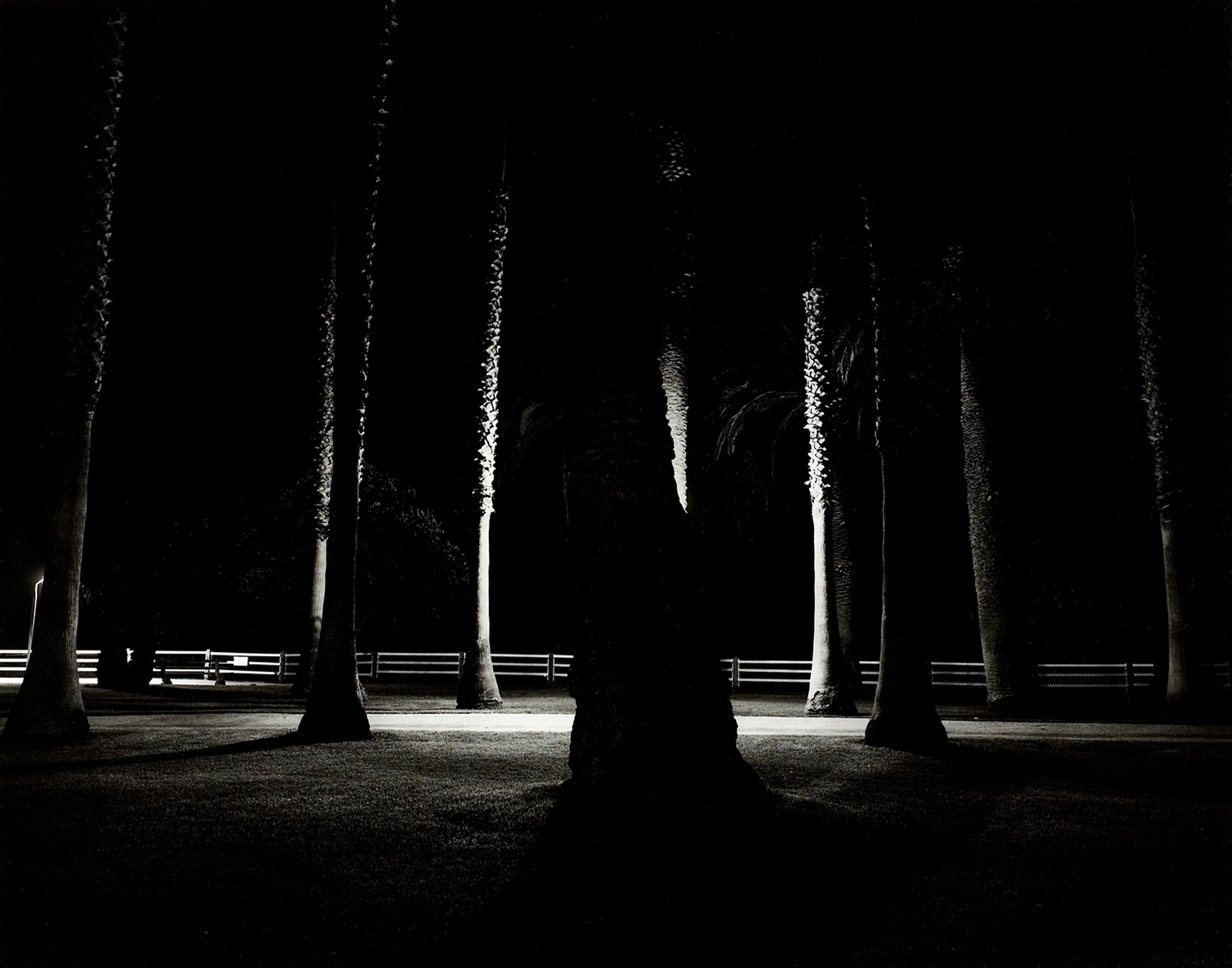 Palms