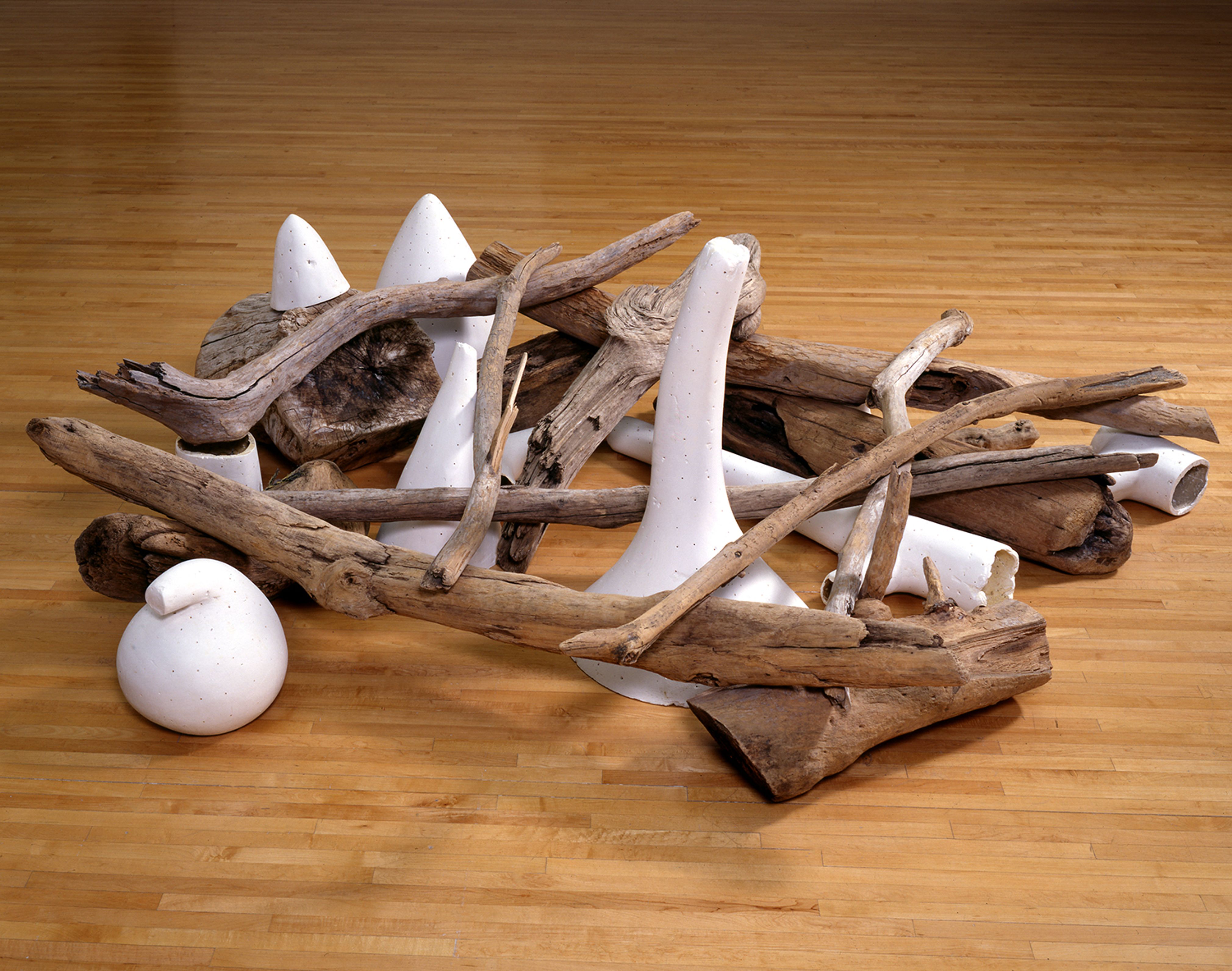 Branchiopods