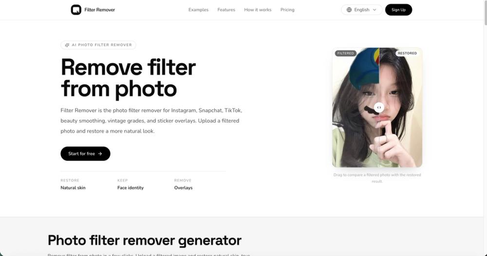 image of Filter Remover