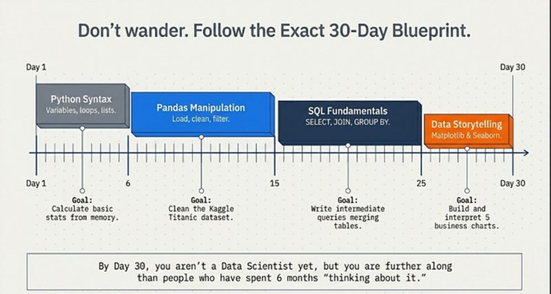 30-day starter plan for non-IT Data Science aspirants showing daily structured activities from Python setup through SQL to first visualisation project