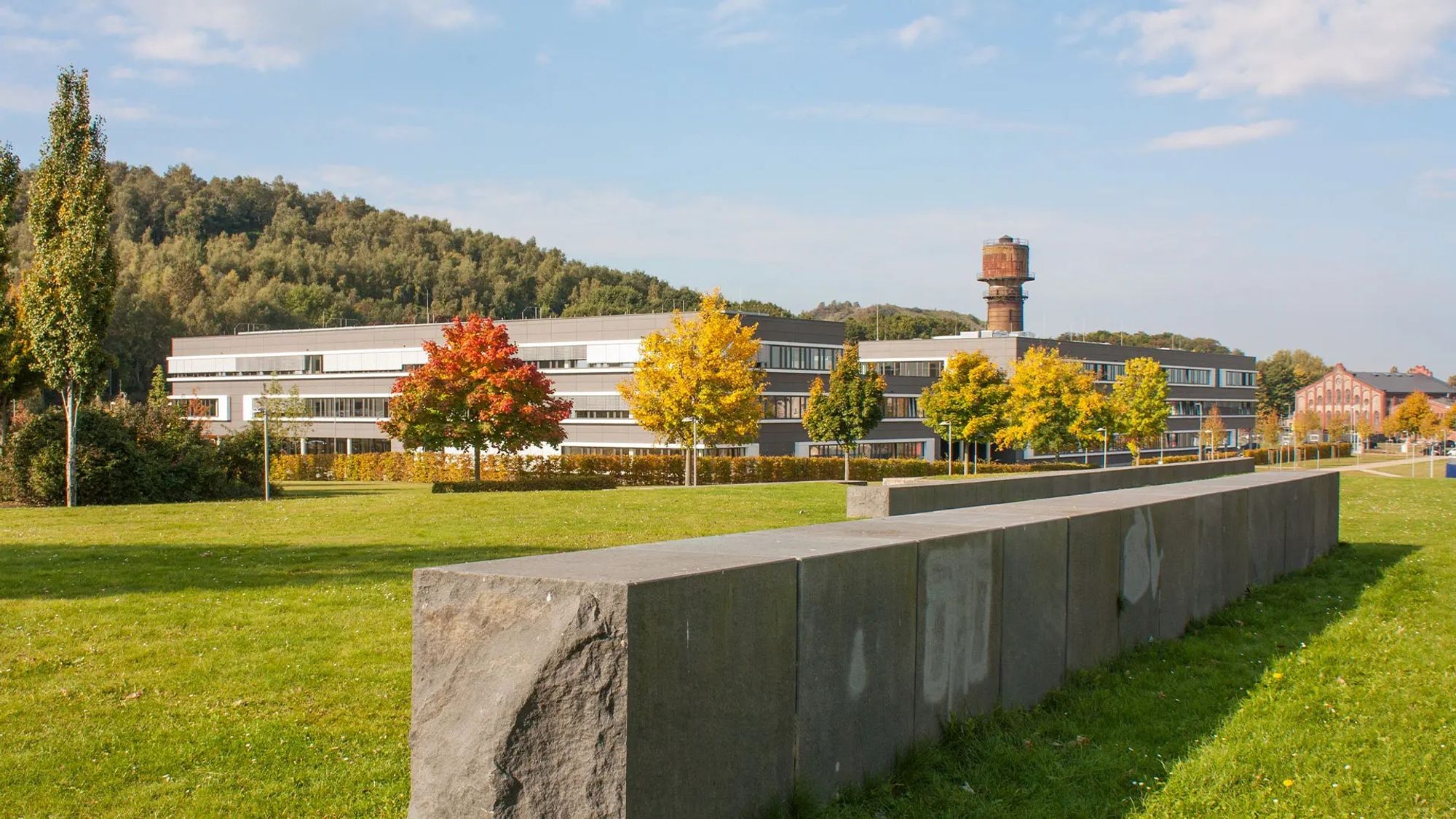 Programa de Intercambio - Dalton Gymnasium (chicas)