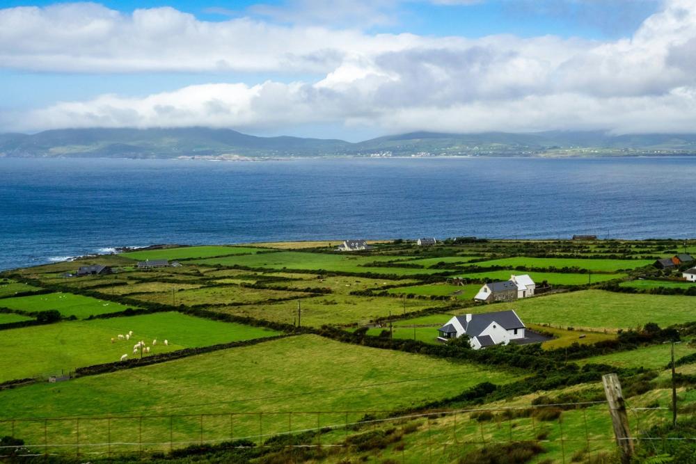 Una experiencia irlandesa