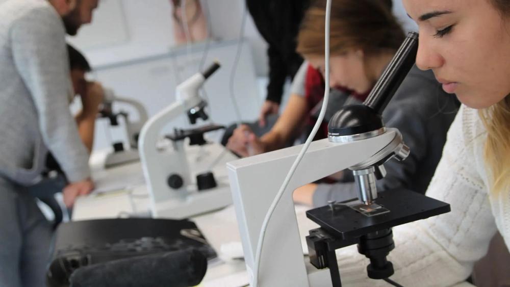 Programa de Intercambio - Dalton Gymnasium (chicas)