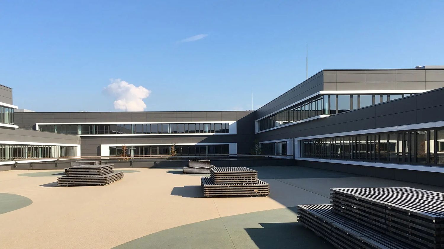 Programa de Intercambio - Dalton Gymnasium (chicas)