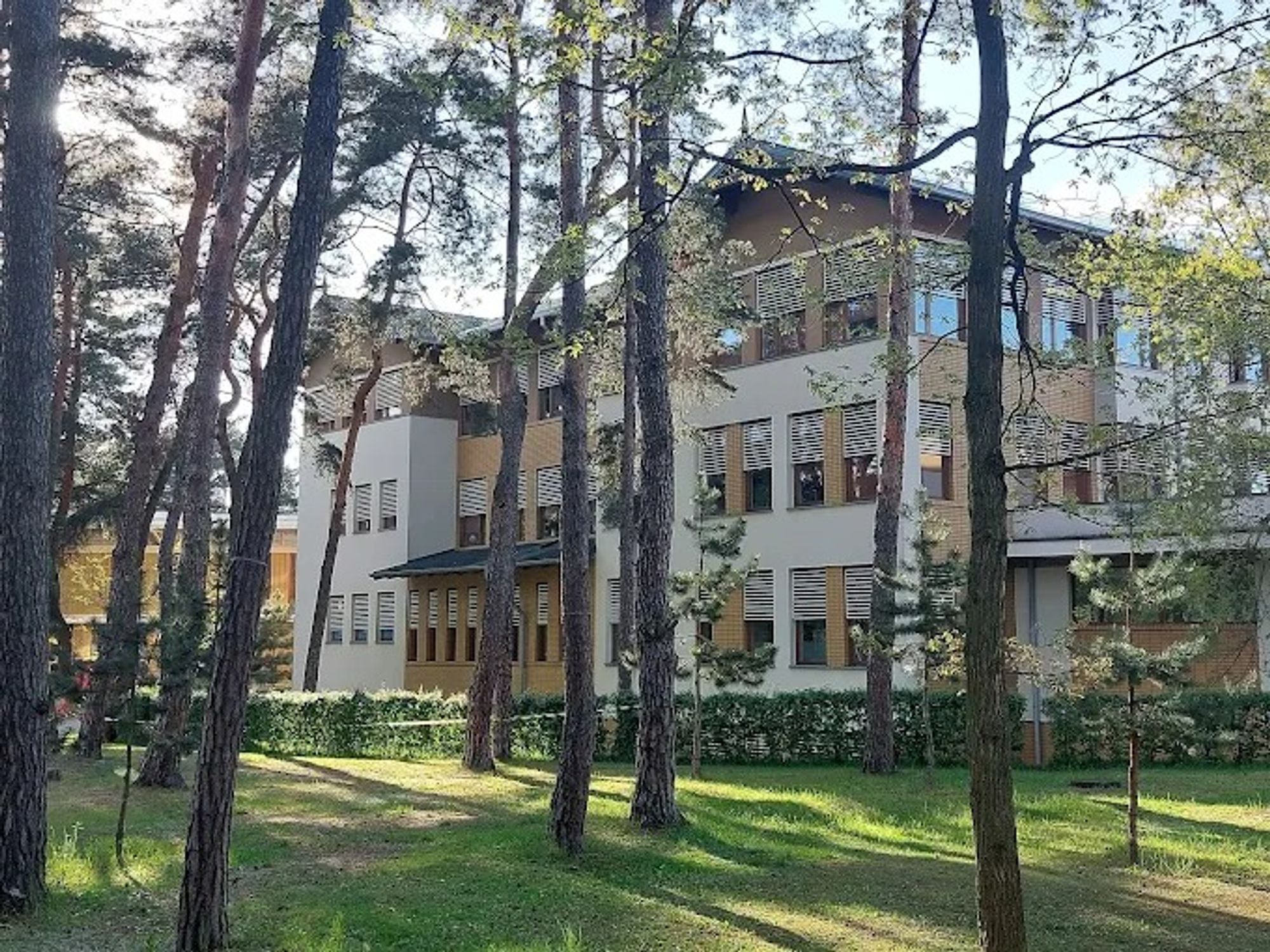 Programa de Intercambio - Strumienie  Sternik