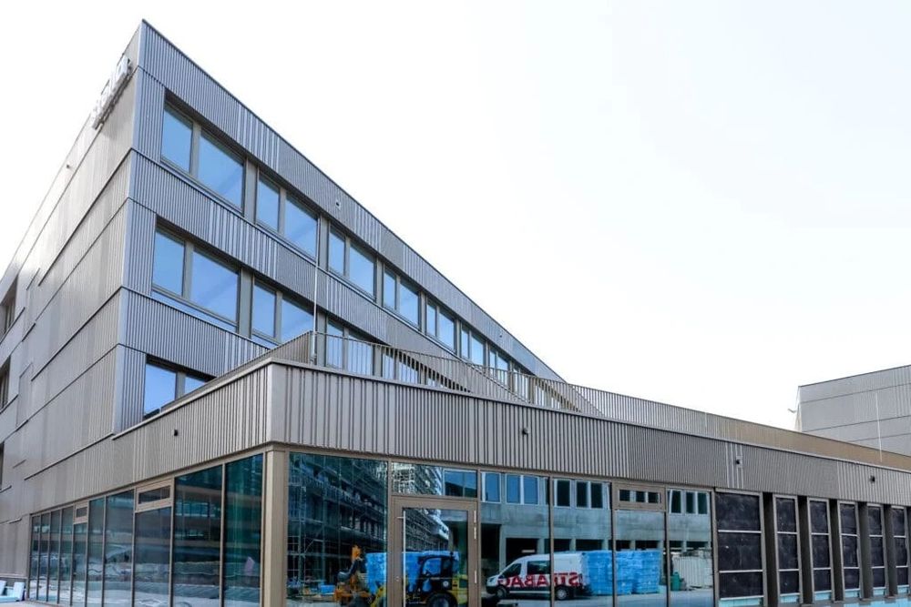 Programa de Intercambio - Stella International (chicos)