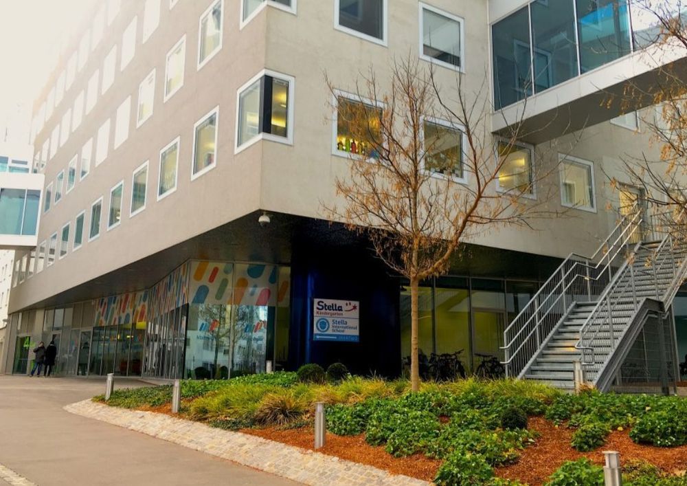 Programa de Intercambio - Stella International (chicos)