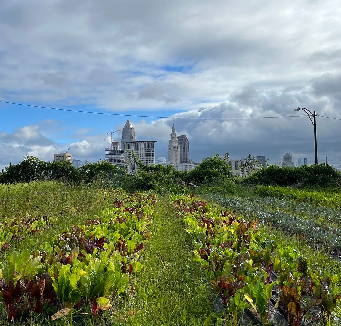 Season of Fertiliser Runoff | CLIMAVORE