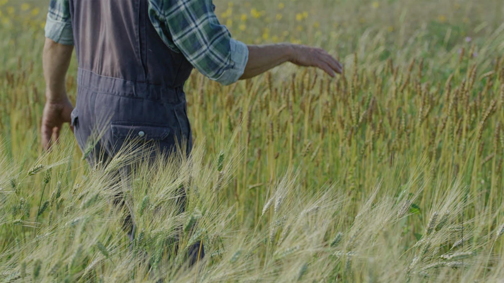 Season of Soil Exhaustion CLIMAVORE