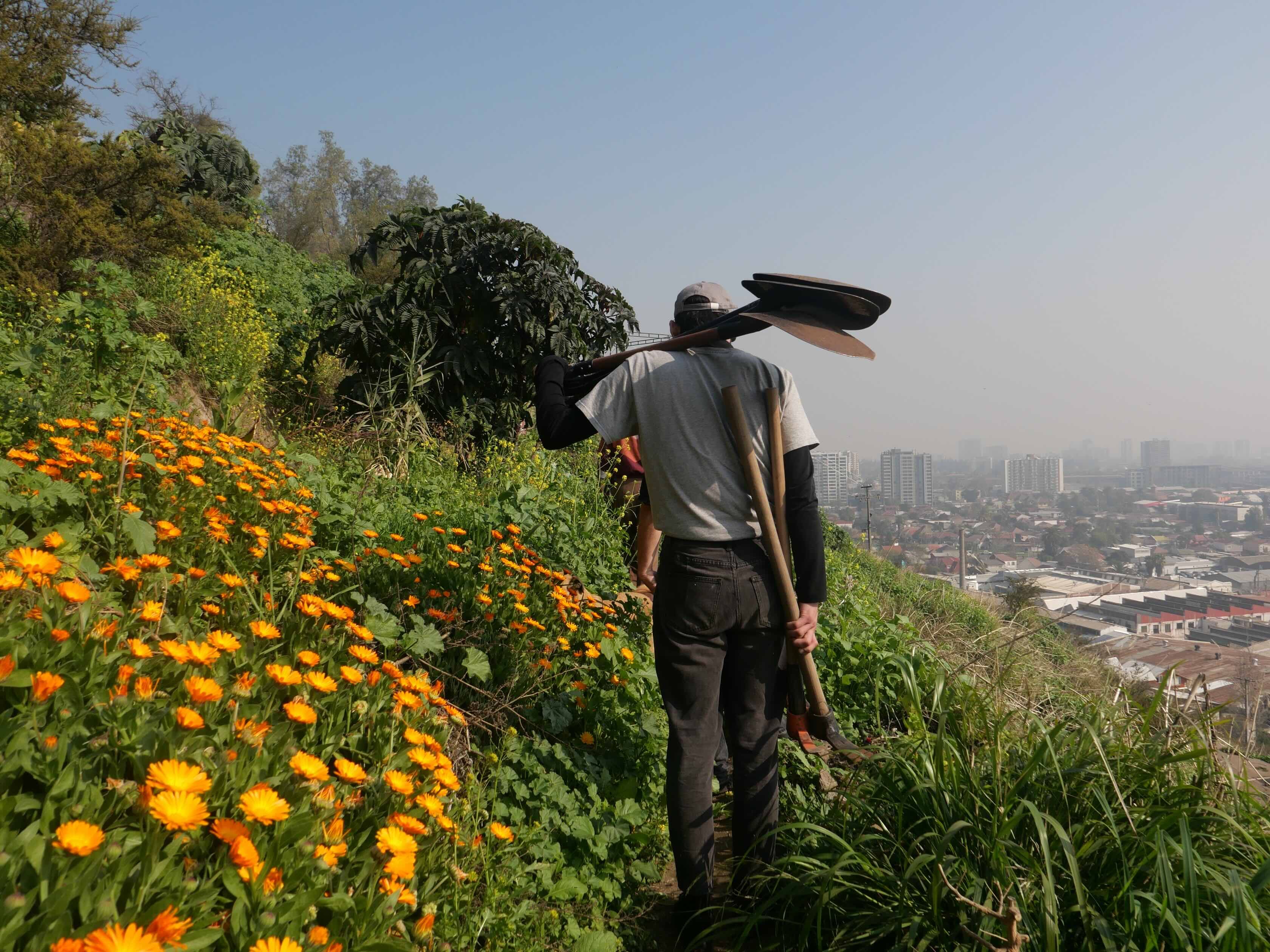 2025 Food Action Awards | CLIMAVORE