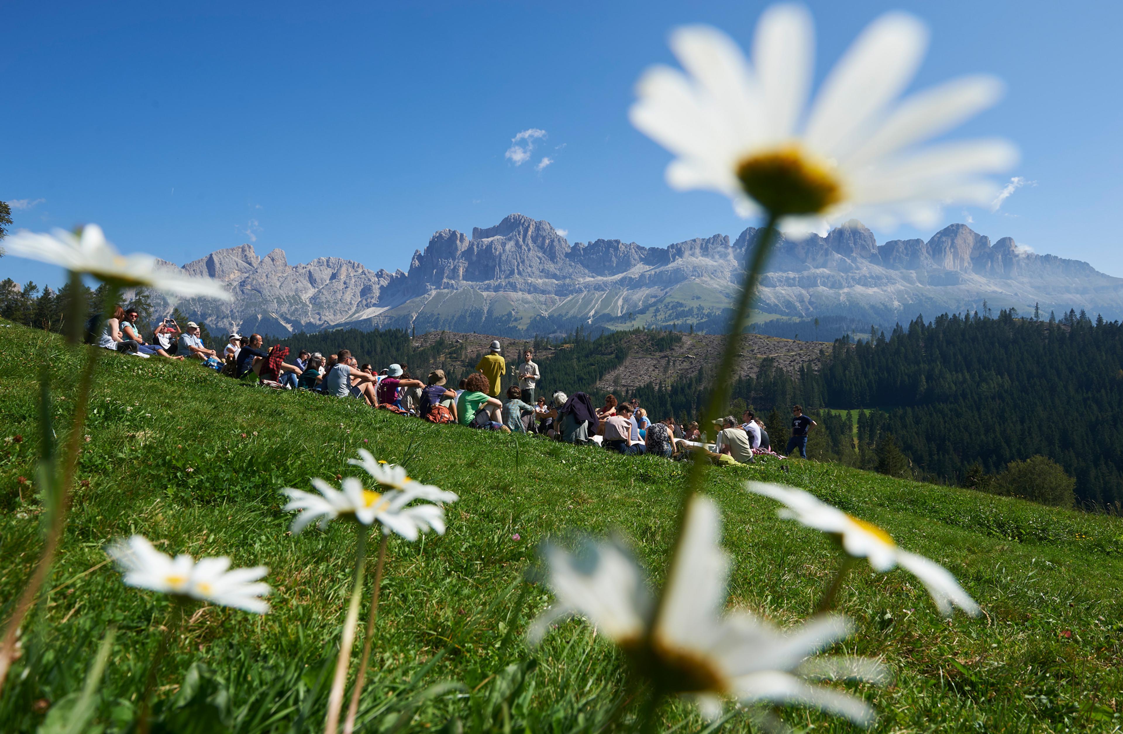 A group of people sat in a field talking with a mountain backdrop and flowers in the foreground